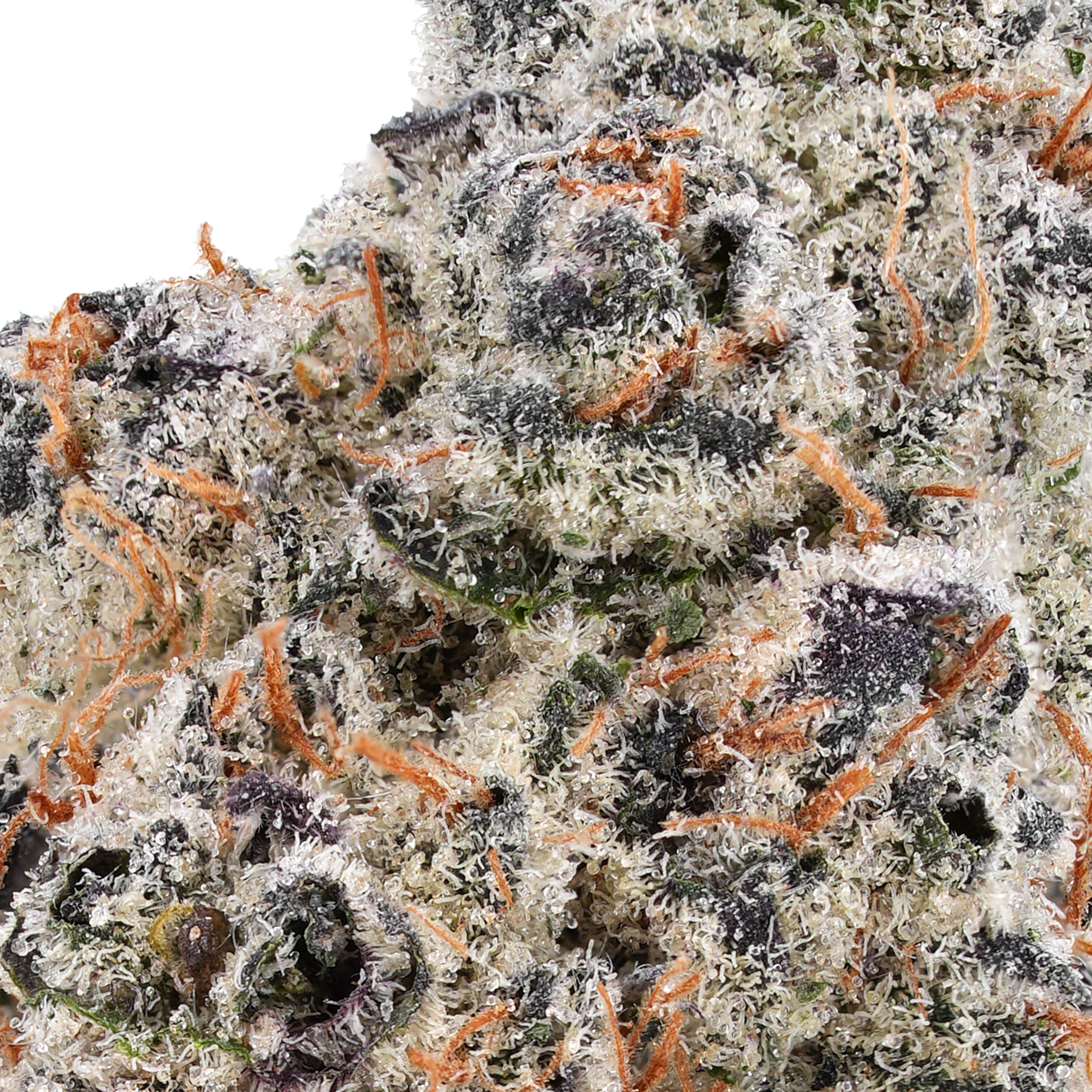 A gallery image for AK-47 THCa Flower