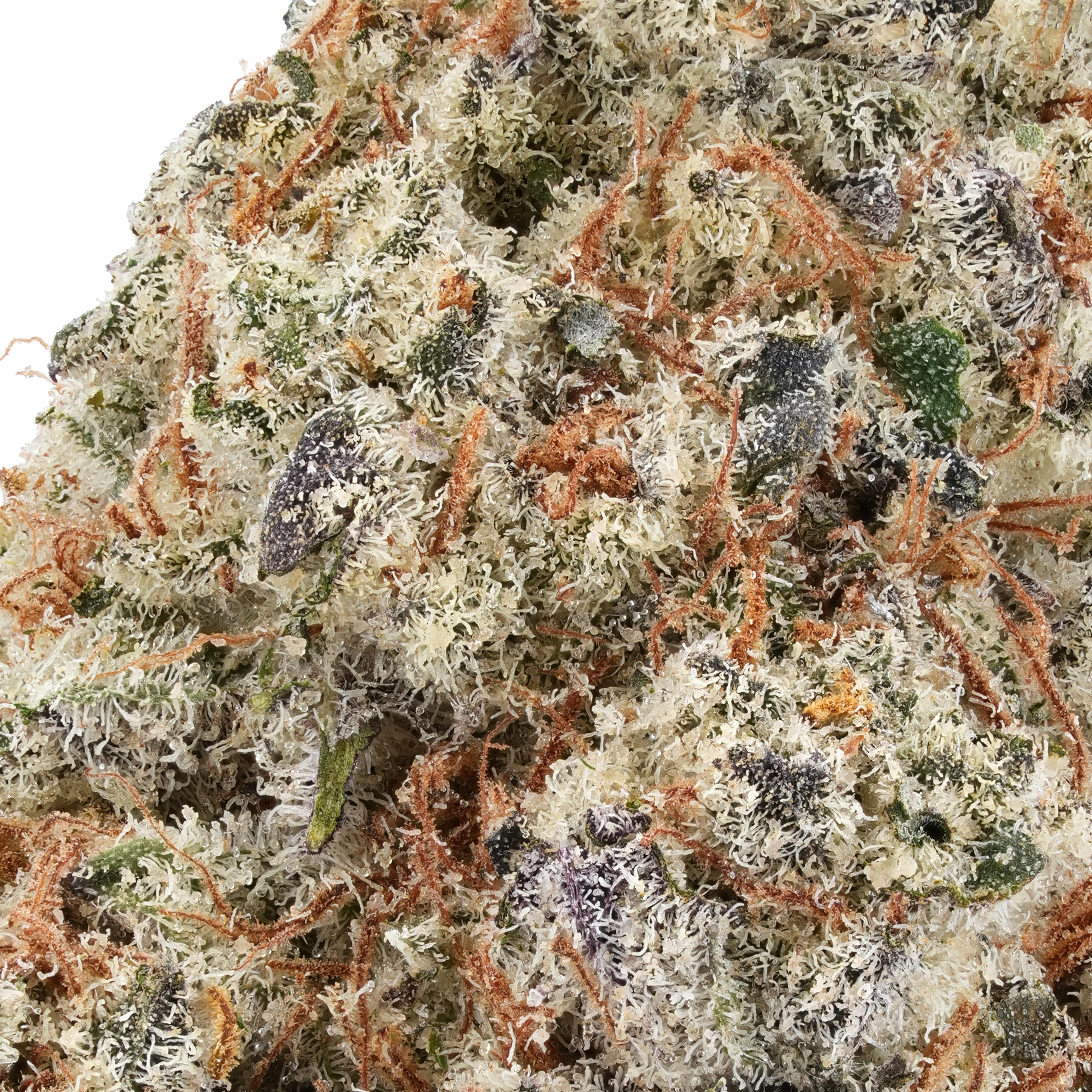 A gallery image for Durban Poison THCa Flower