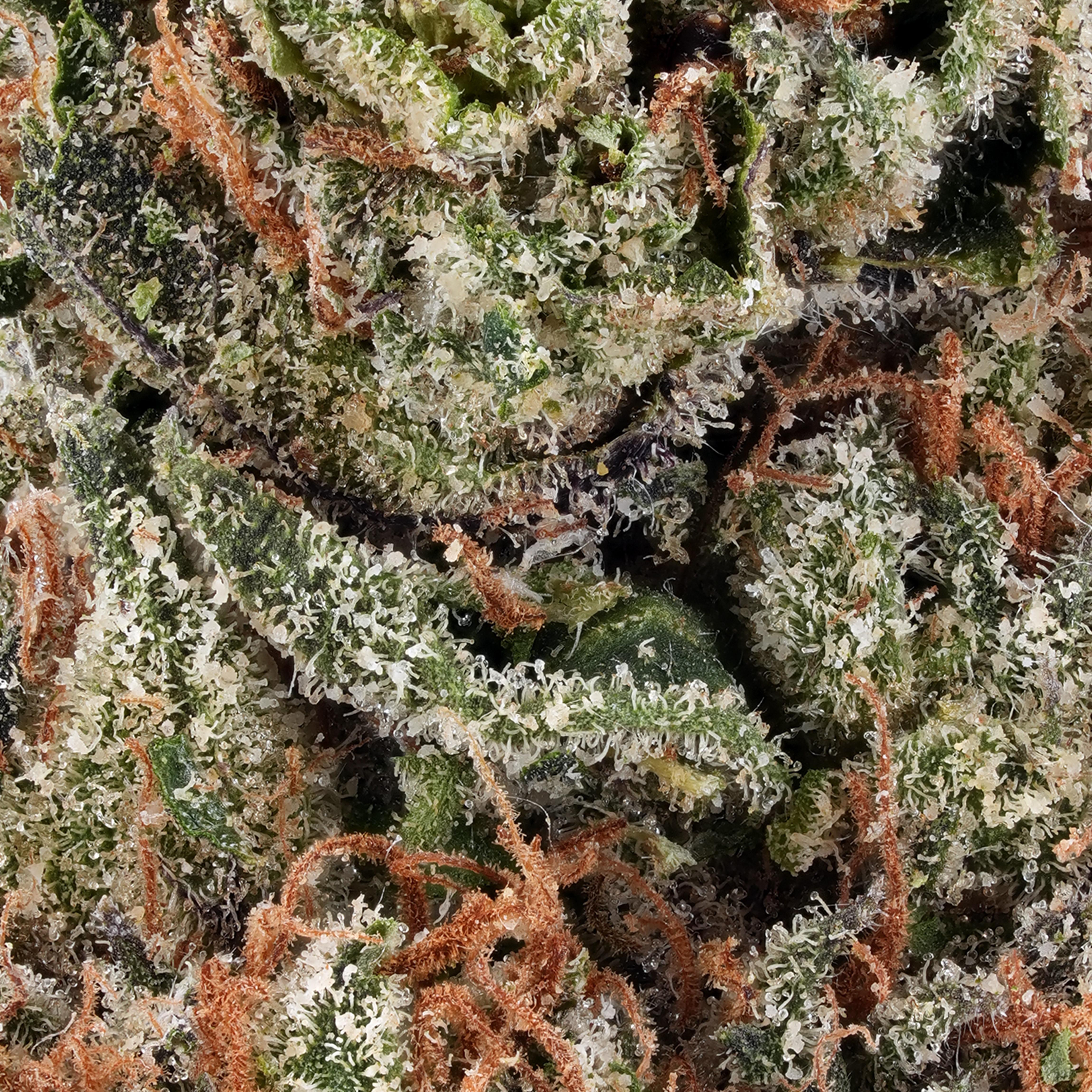 Gelato 41 THCa Flower - Arete | Premium Cannabis Products