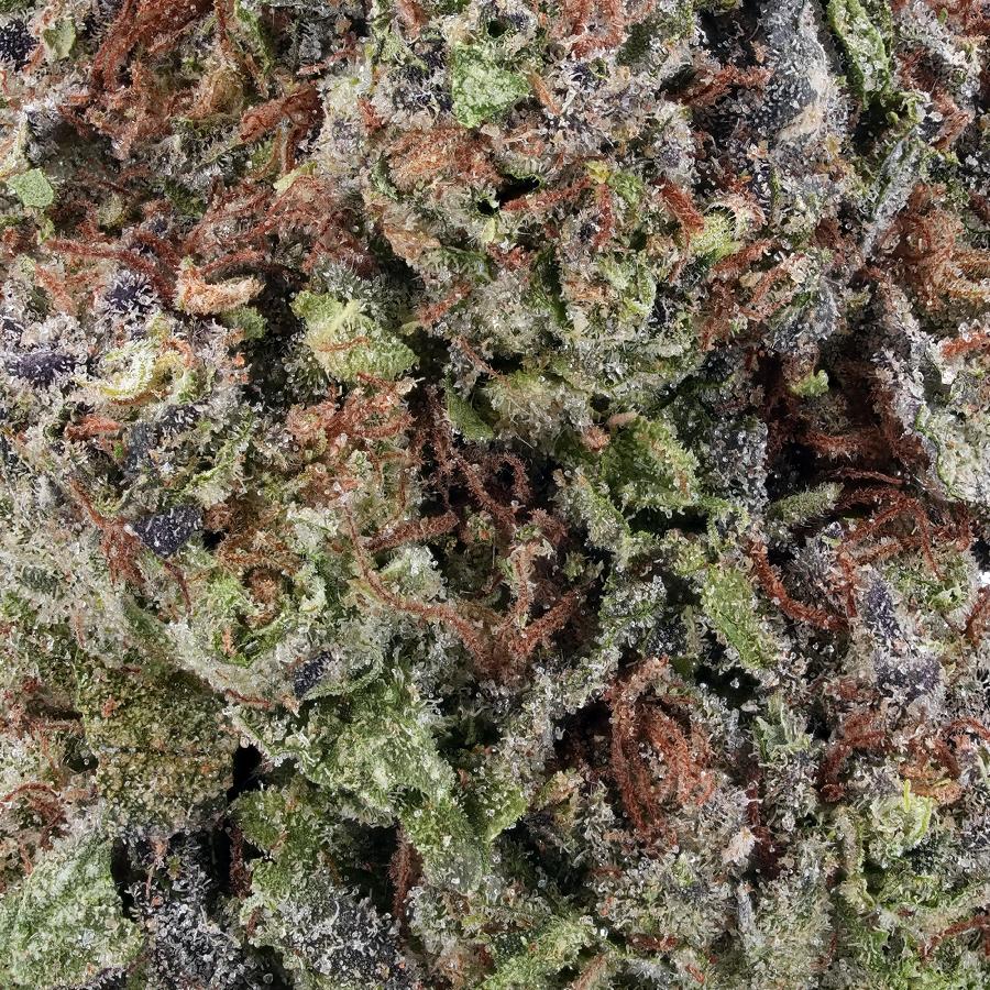 Gush Mintz THCa Flower, photo 2 of 2