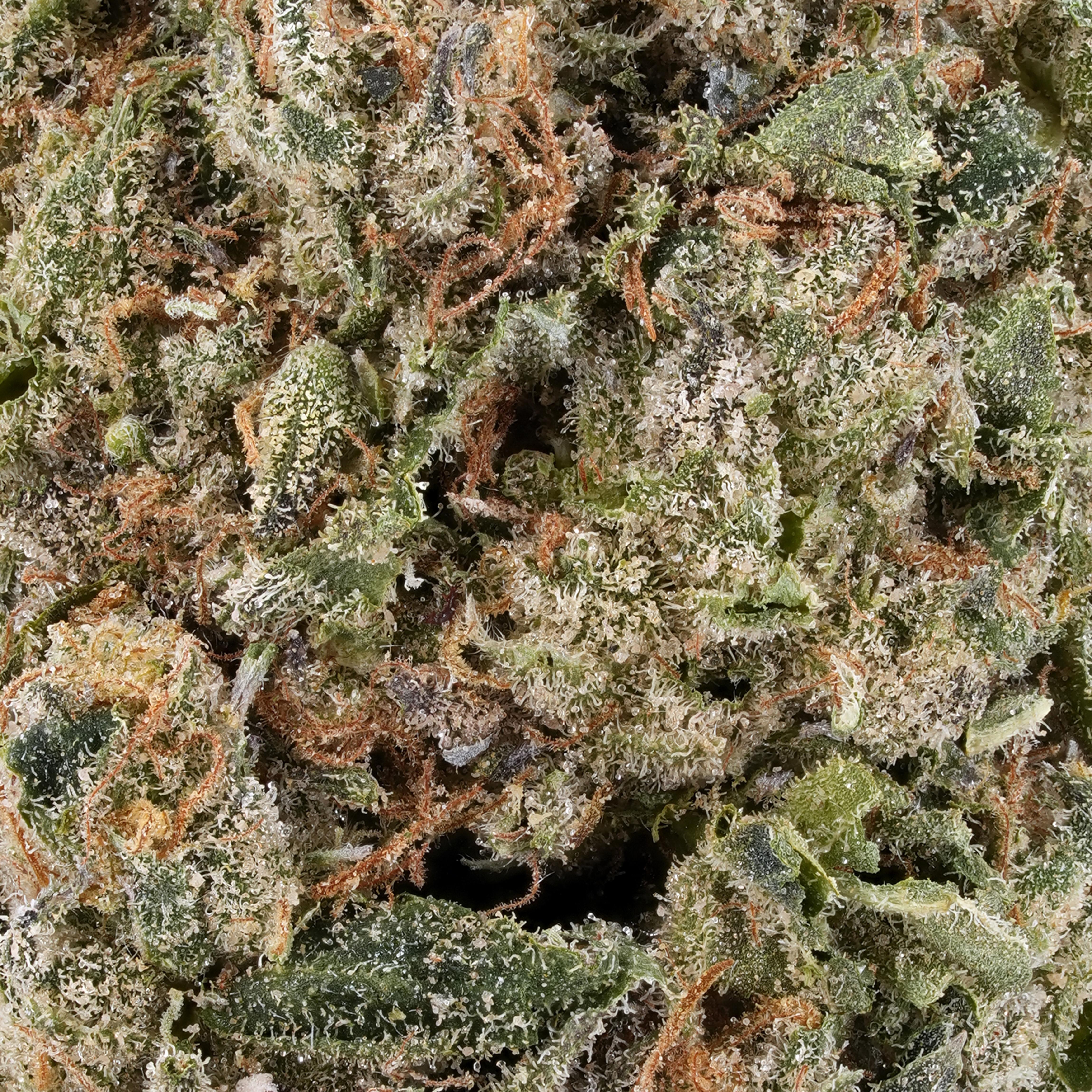 A gallery image for Unleaded THCa Flower