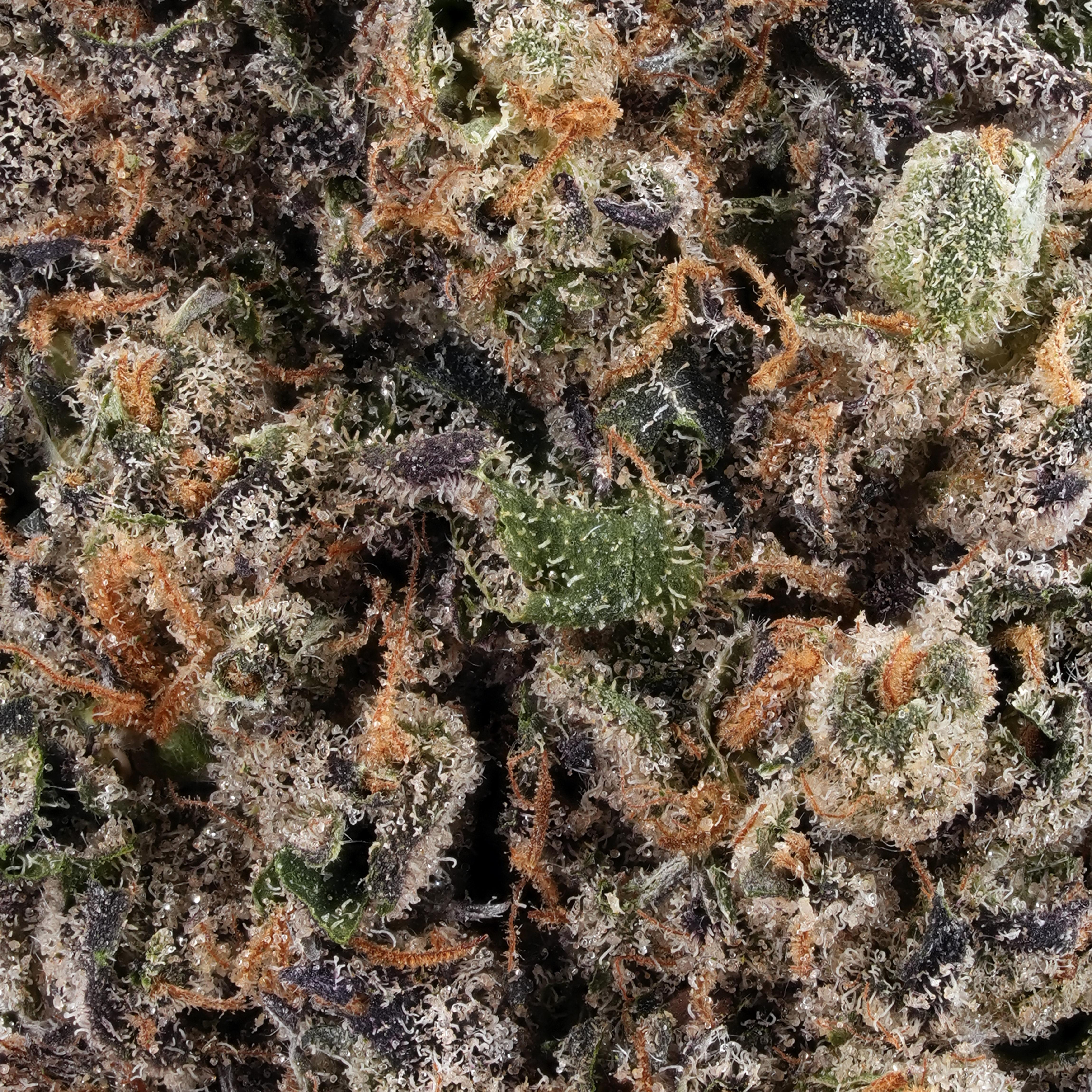 A gallery image for Unleaded THCa Flower