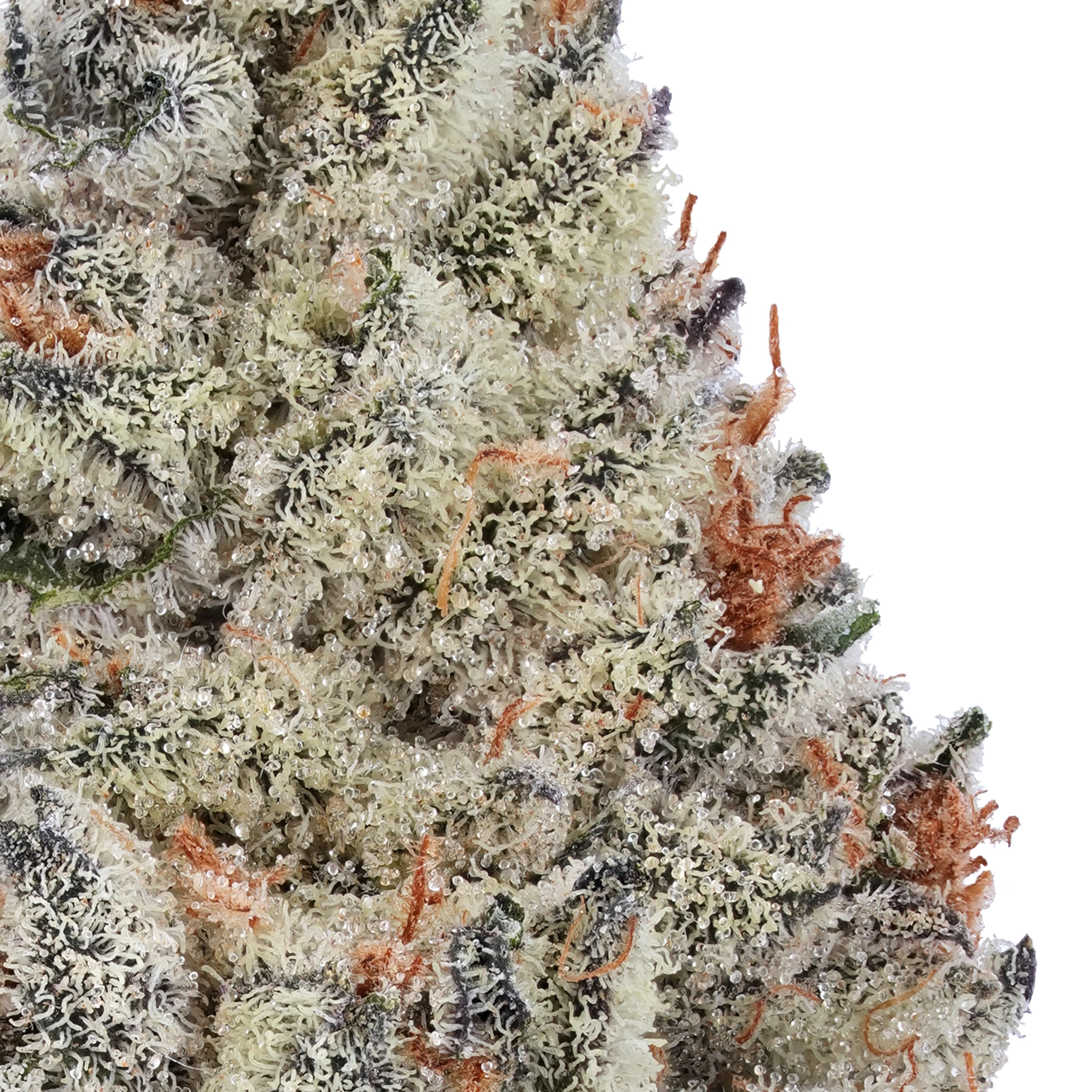 A gallery image for American Dream THCa Flower