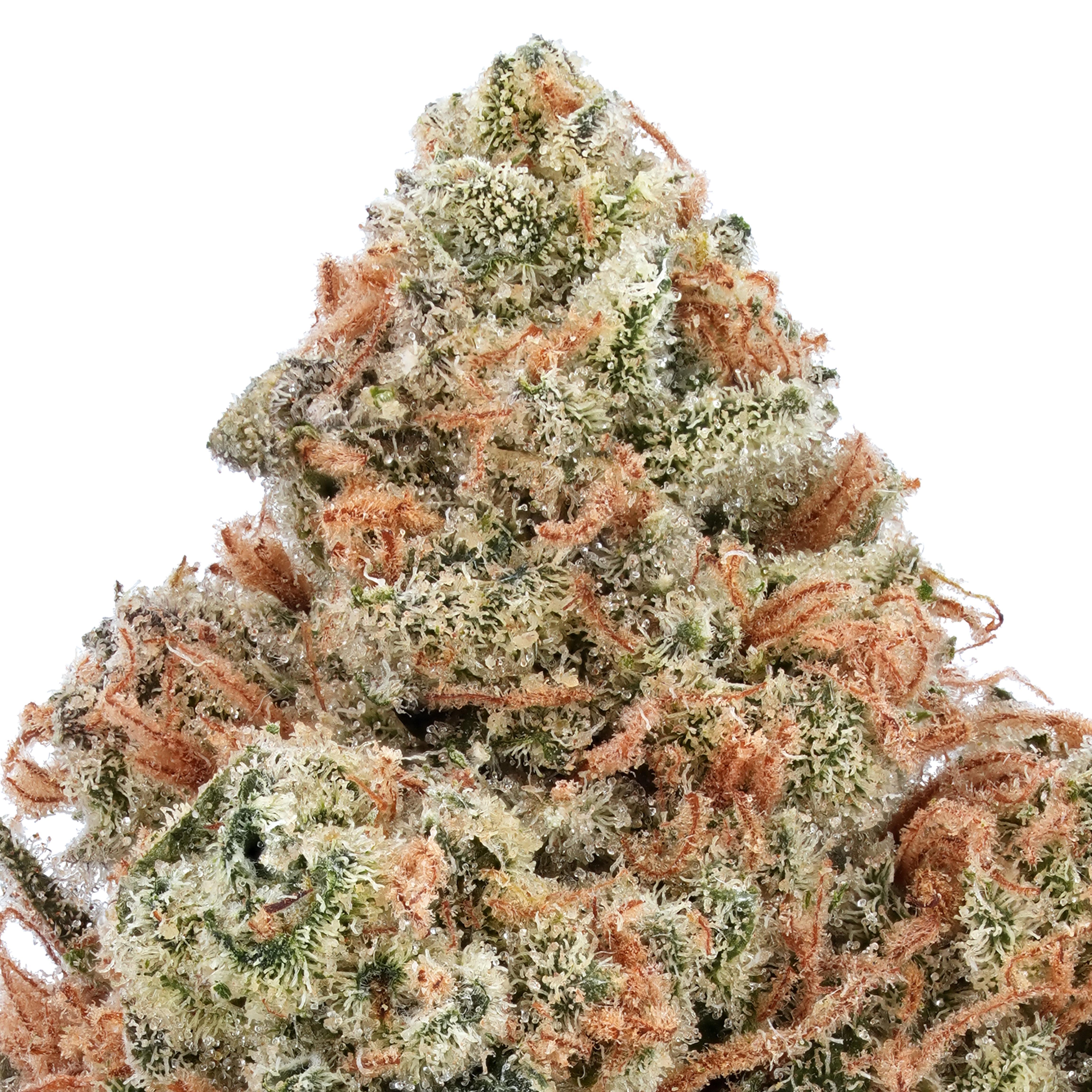 A gallery image for Hawaiian Haze CBD Hydroponic Hemp Flower