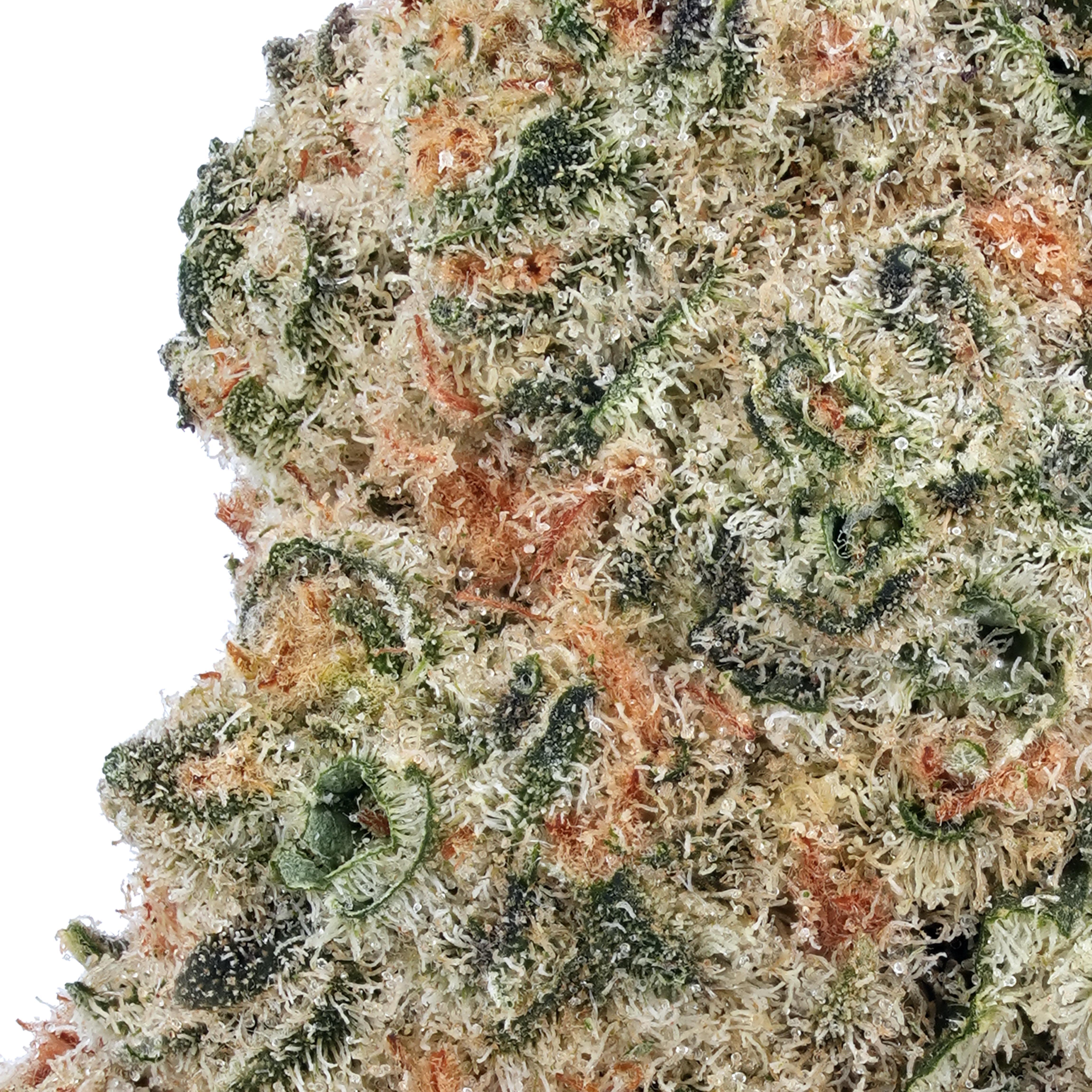 A gallery image for Lemonberry THCa Flower