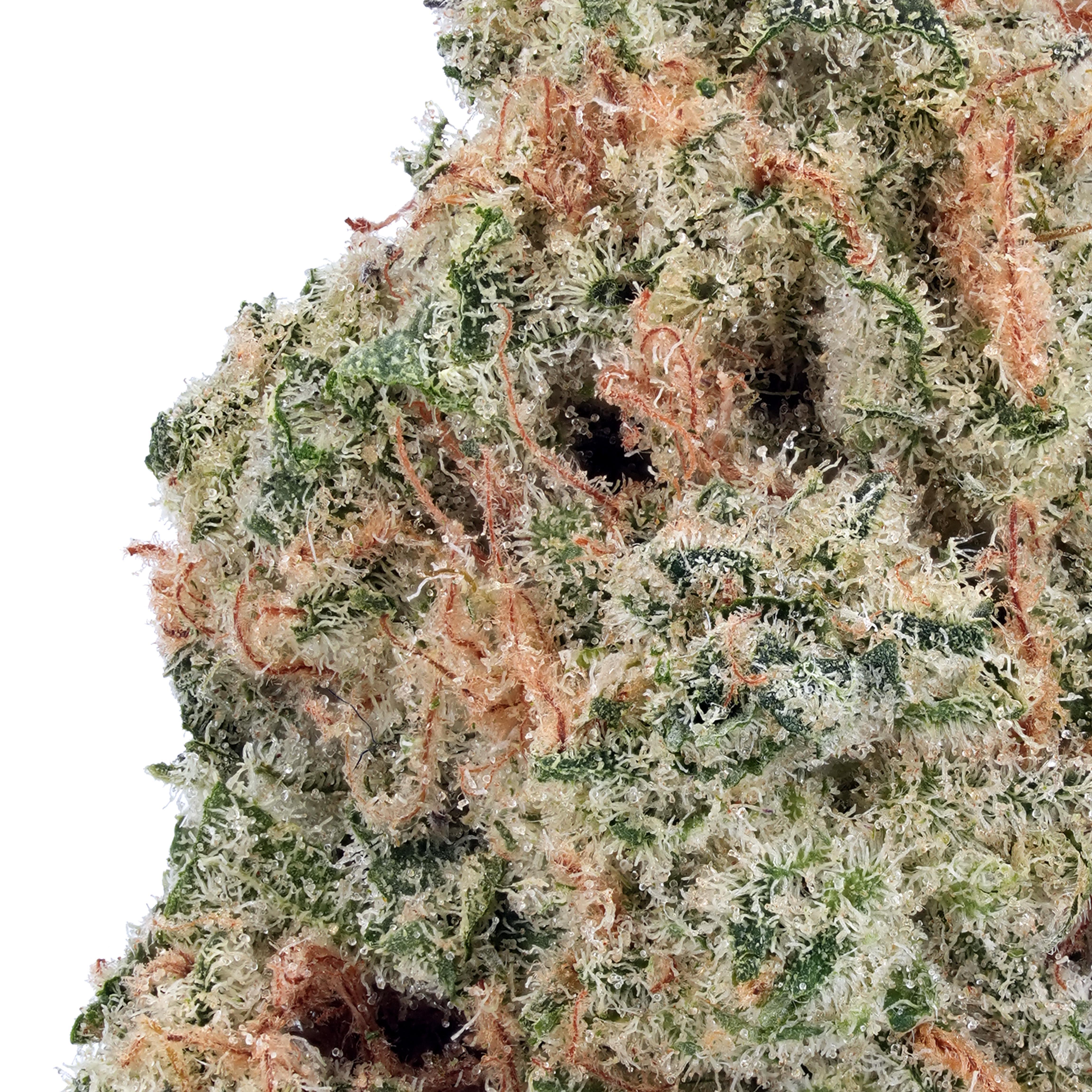 A gallery image for Pineapple Express THCa Flower