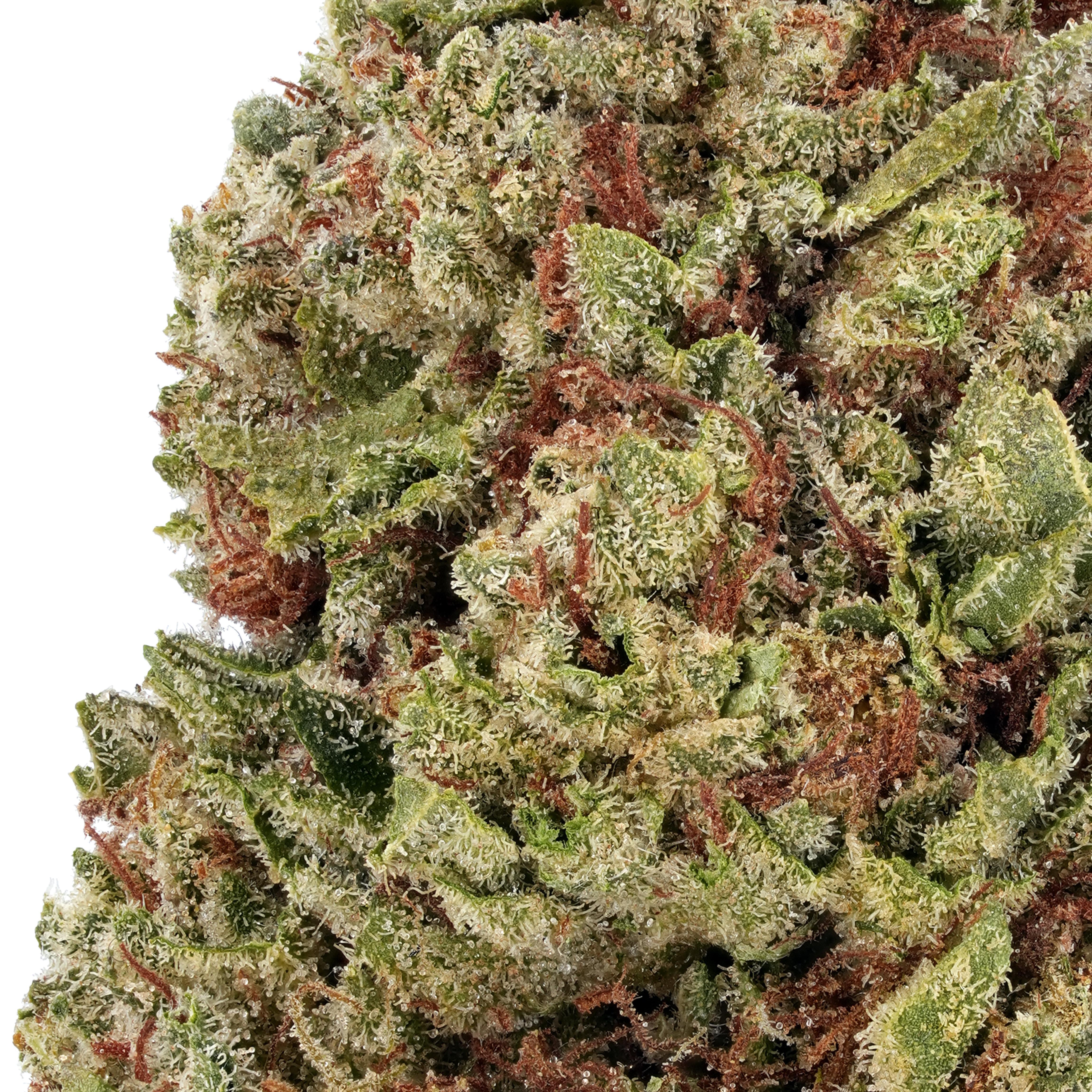A gallery image for Lava Cake THCa Flower