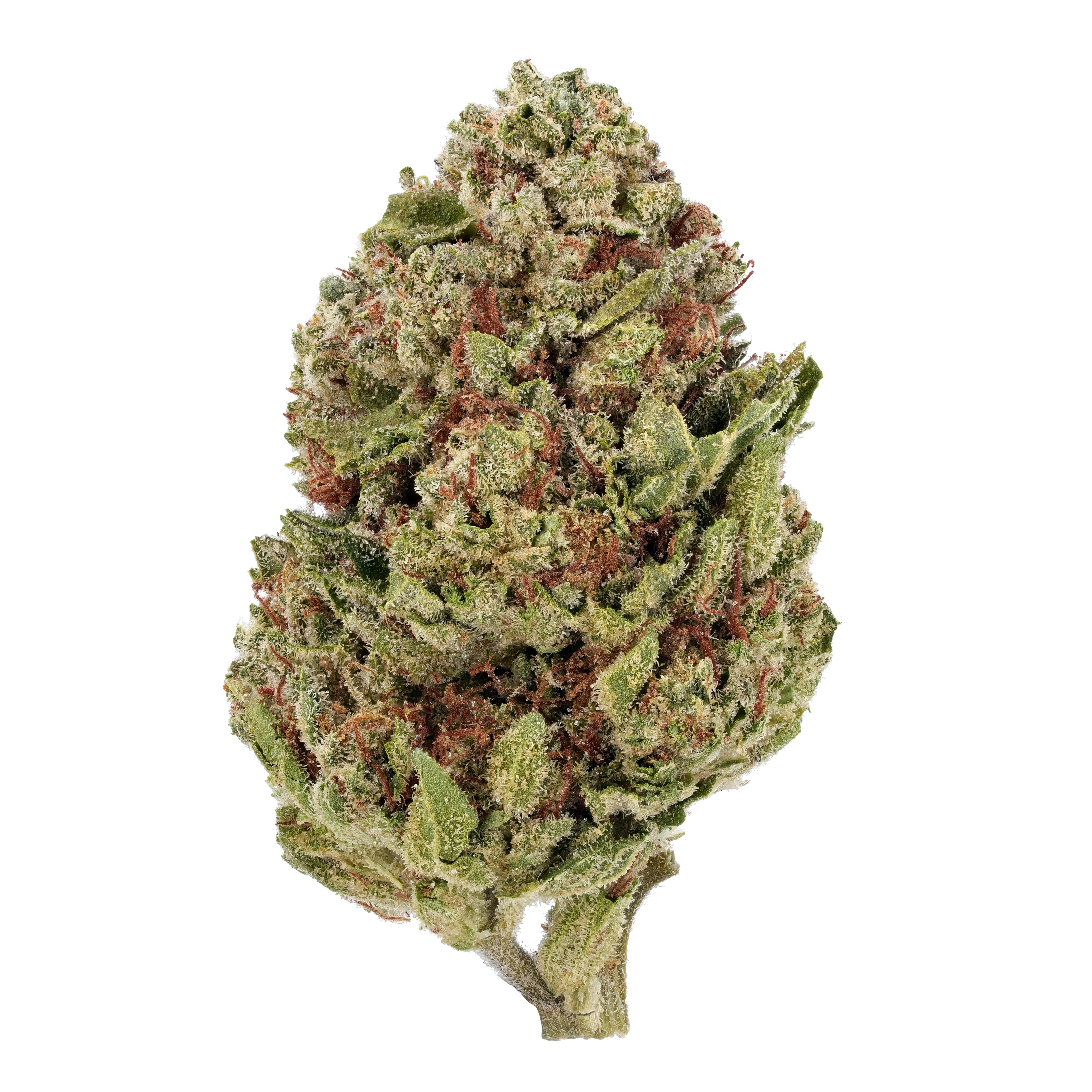 The product image for Lava Cake THCa Flower