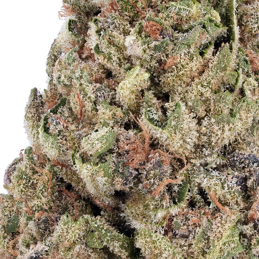 A gallery image for Bubba Glue THCa Flower