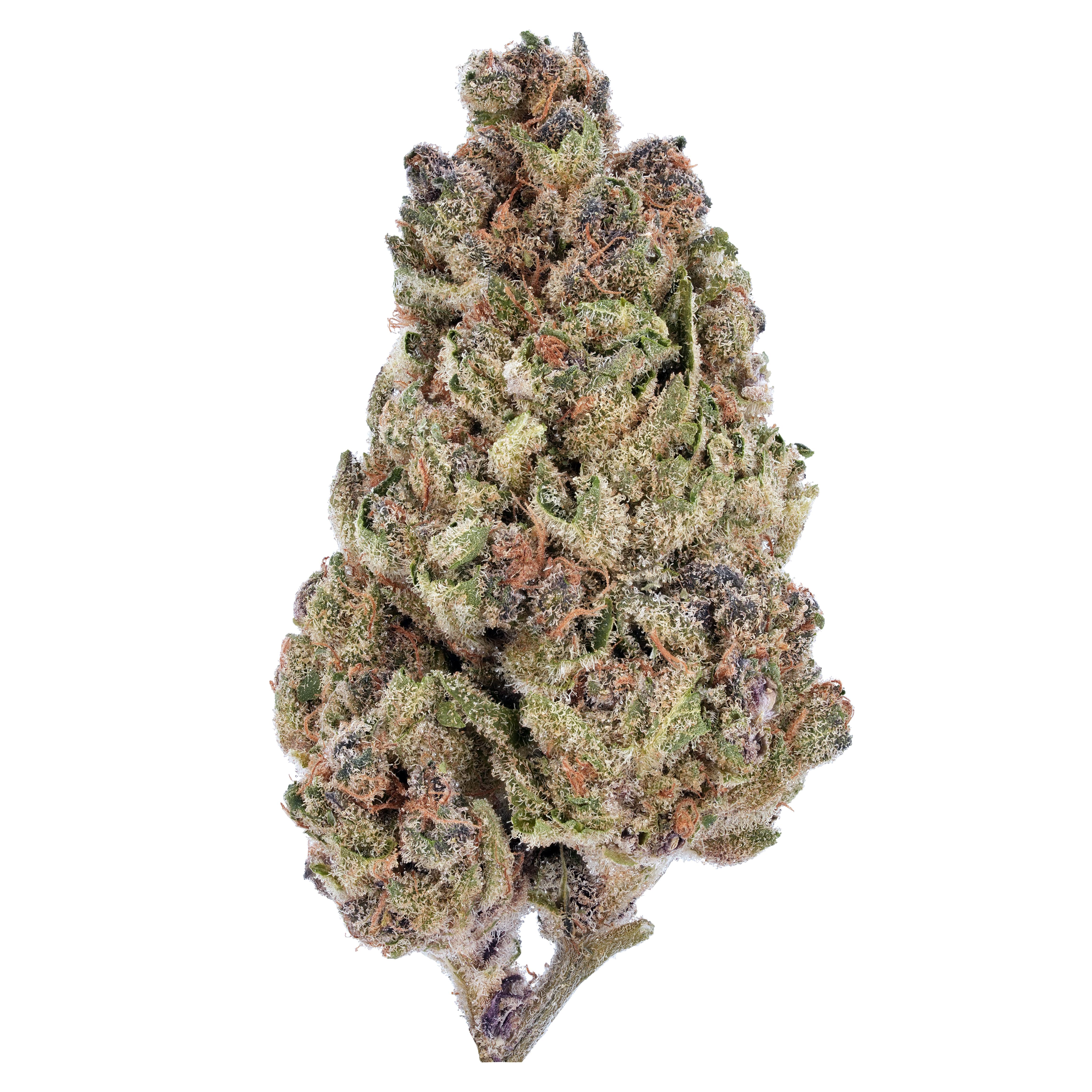 The product image for Bubba Glue THCa Flower