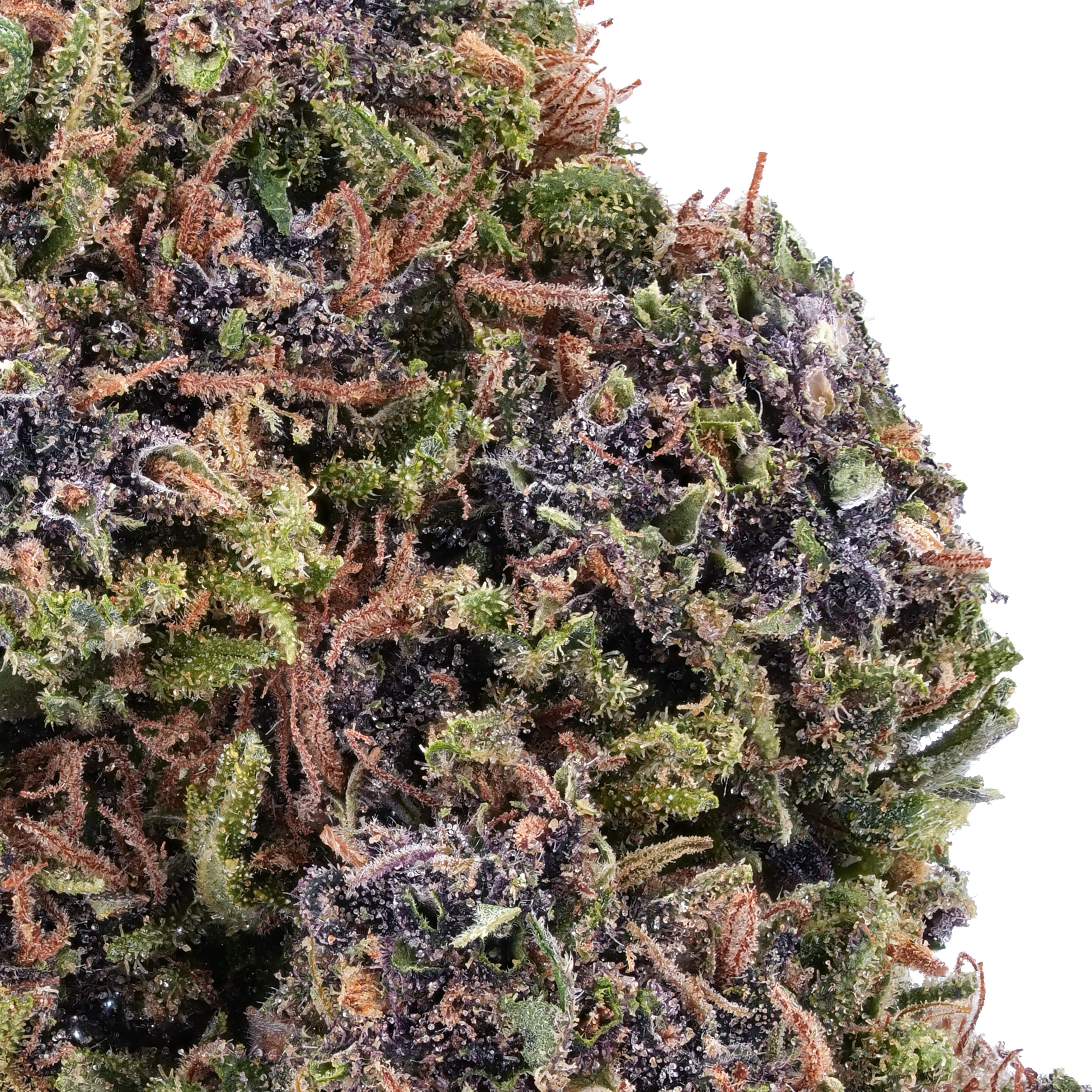 A gallery image for Pink Panther CBD Hemp Flower