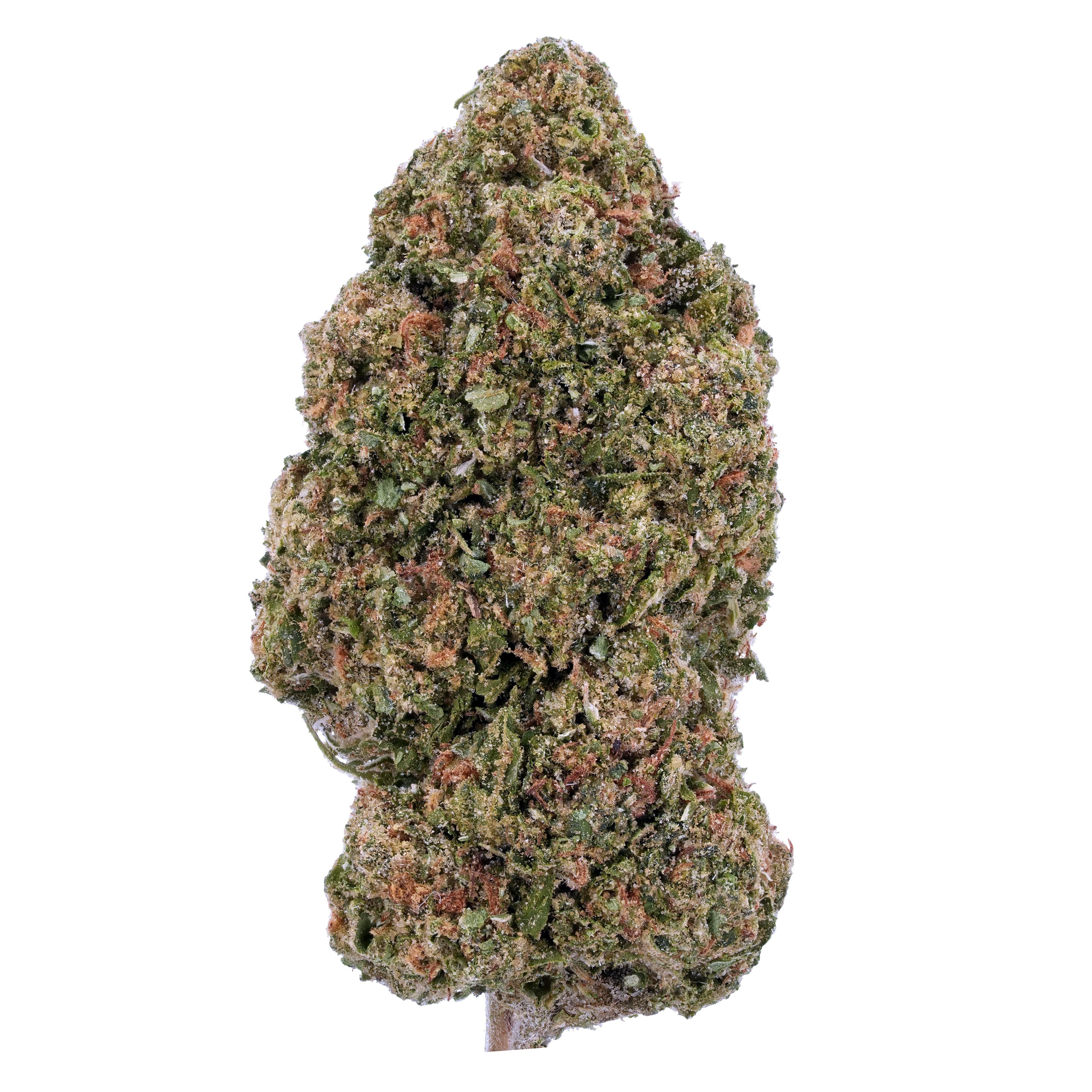 The product image for Rainbow Sherbet #11 THCa Flower