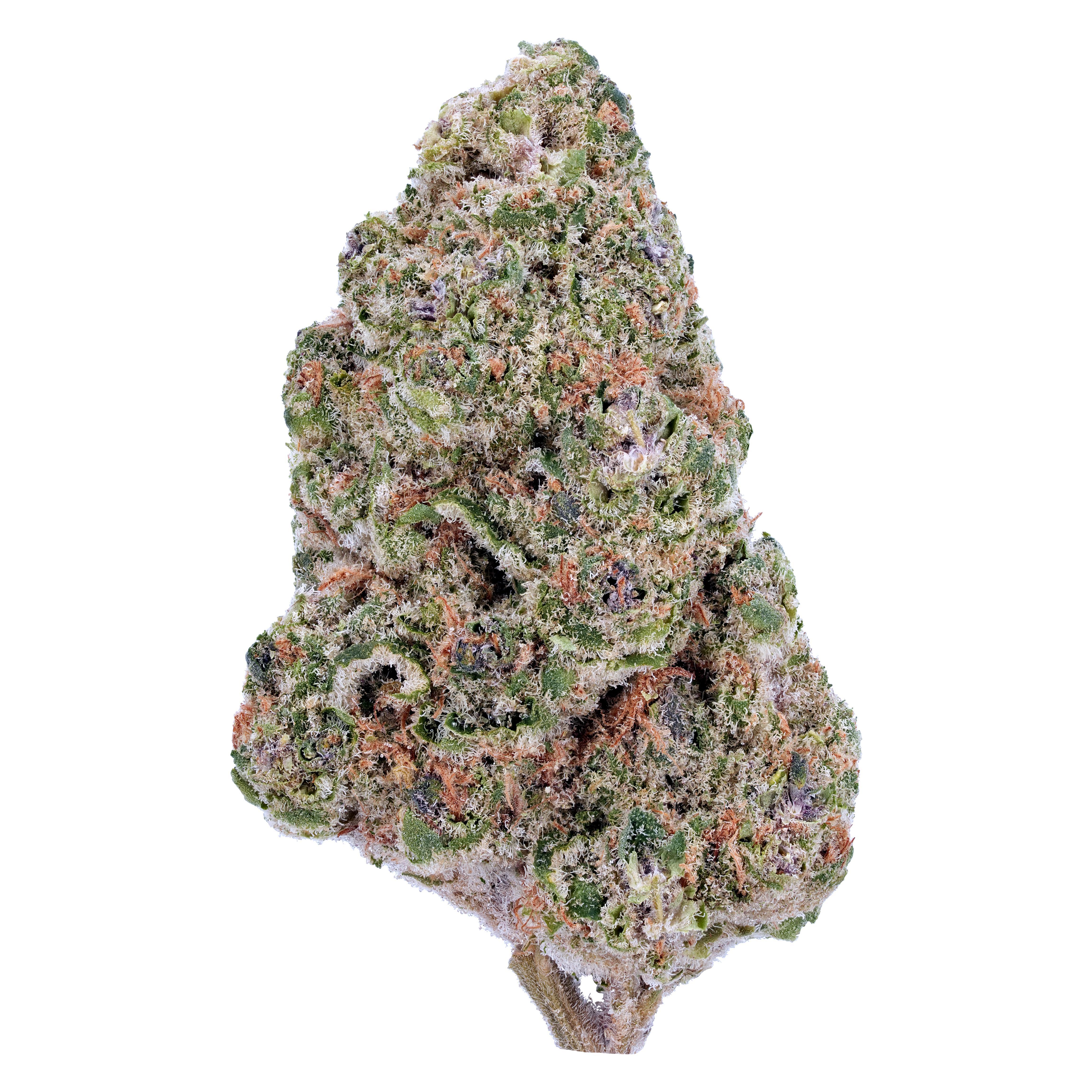 A gallery image for Ugly Buds THCa Flower
