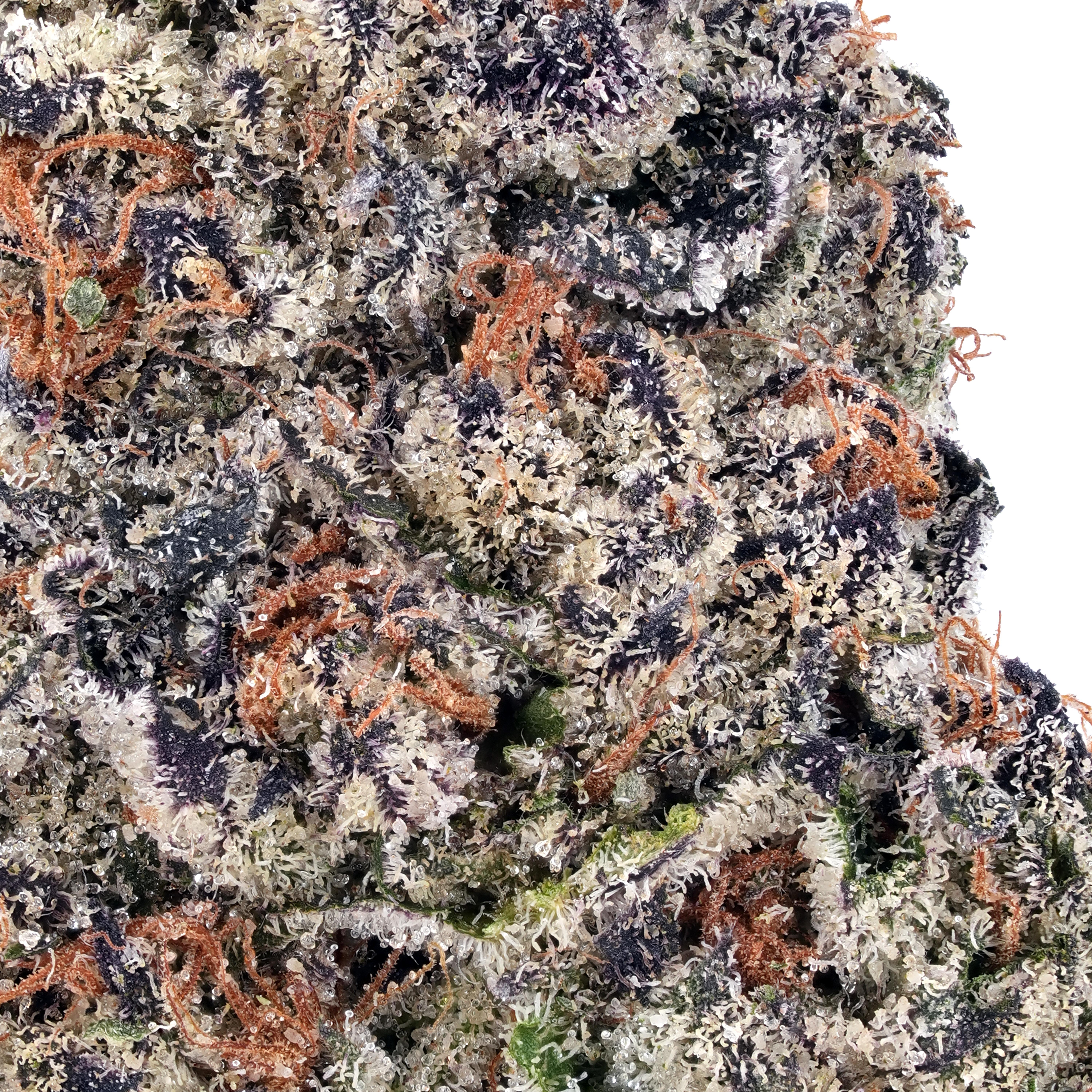 A gallery image for Blueberry Garlic THCa Flower