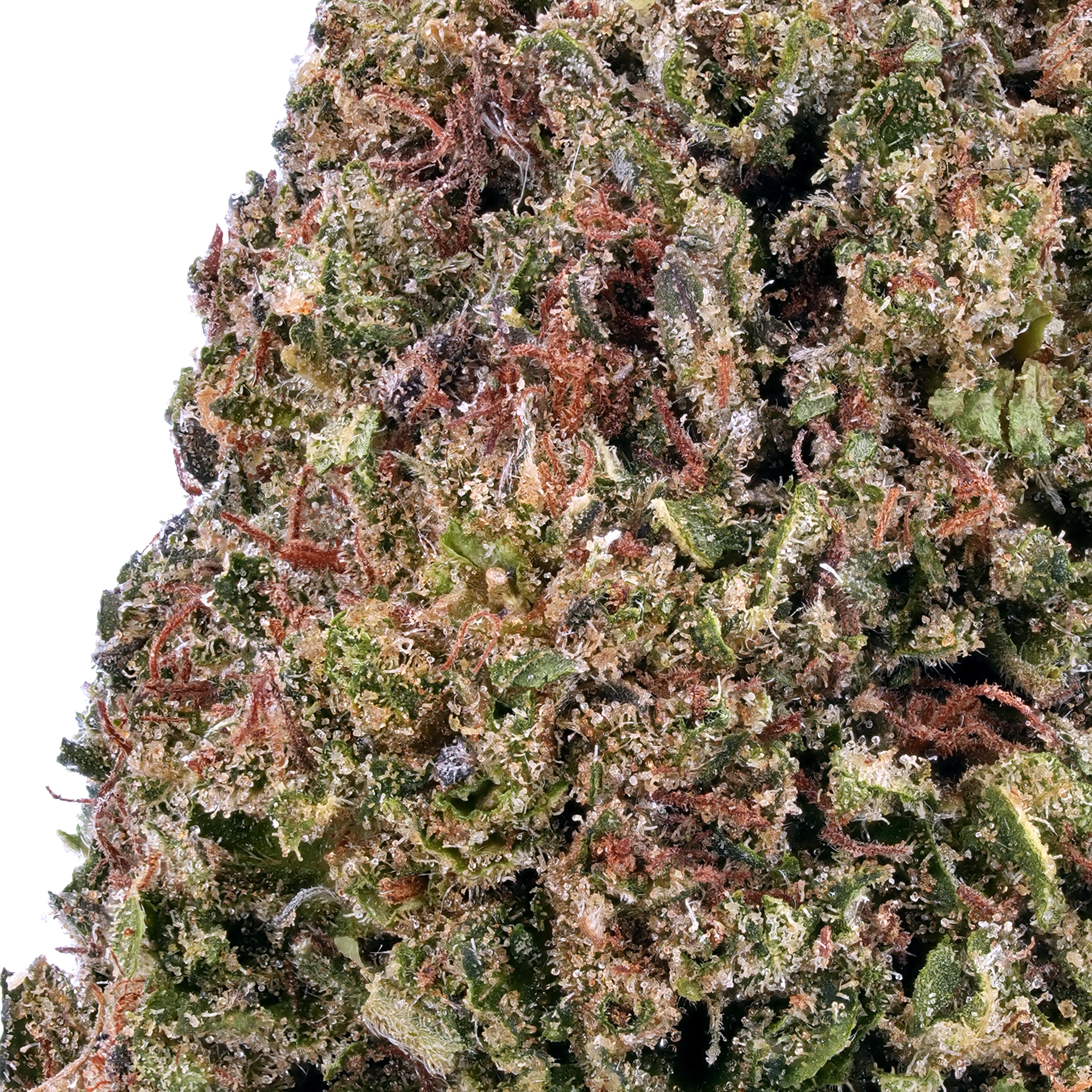 A gallery image for Bubba Kush CBD Hemp Flower