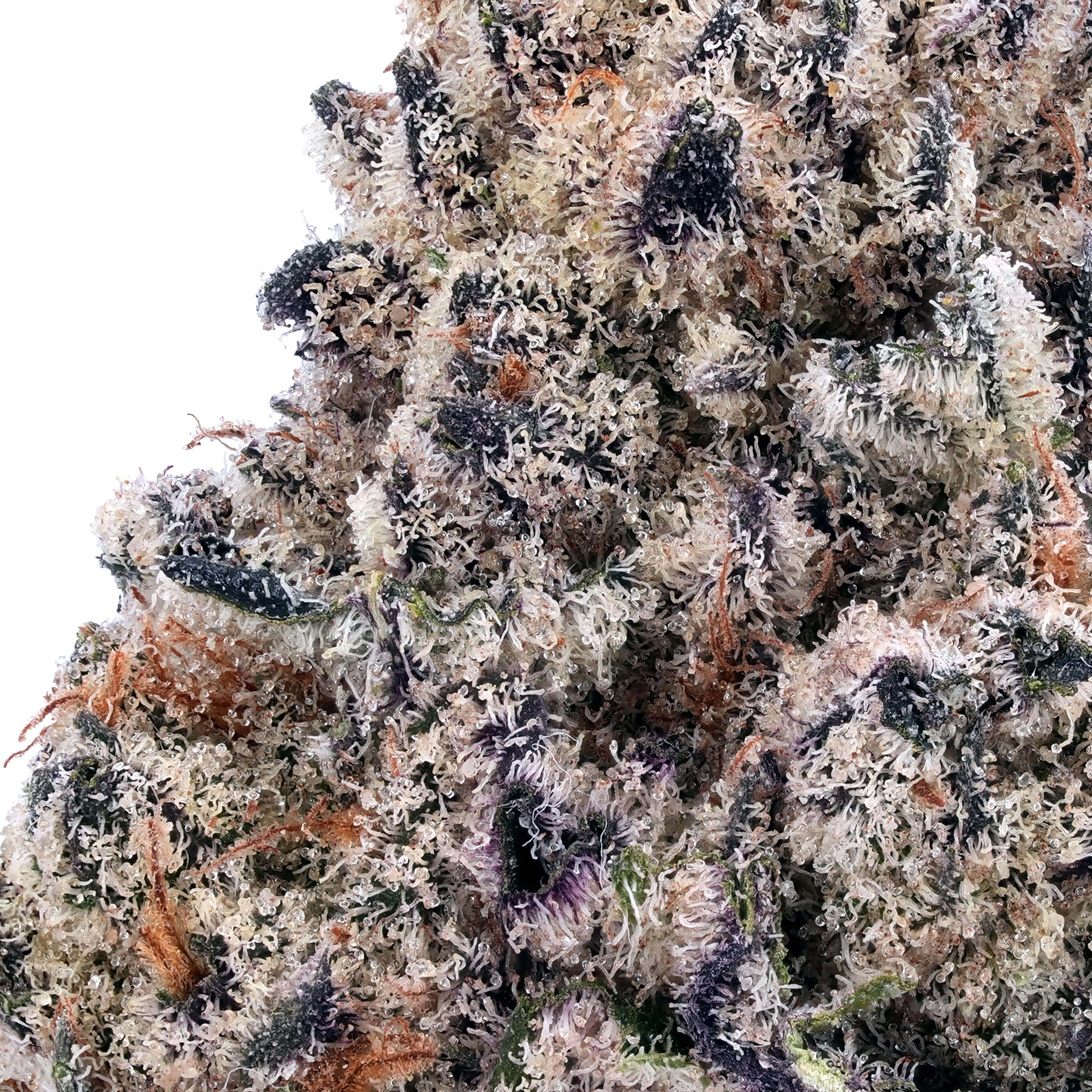 A gallery image for Platinum Pancakes THCa Flower