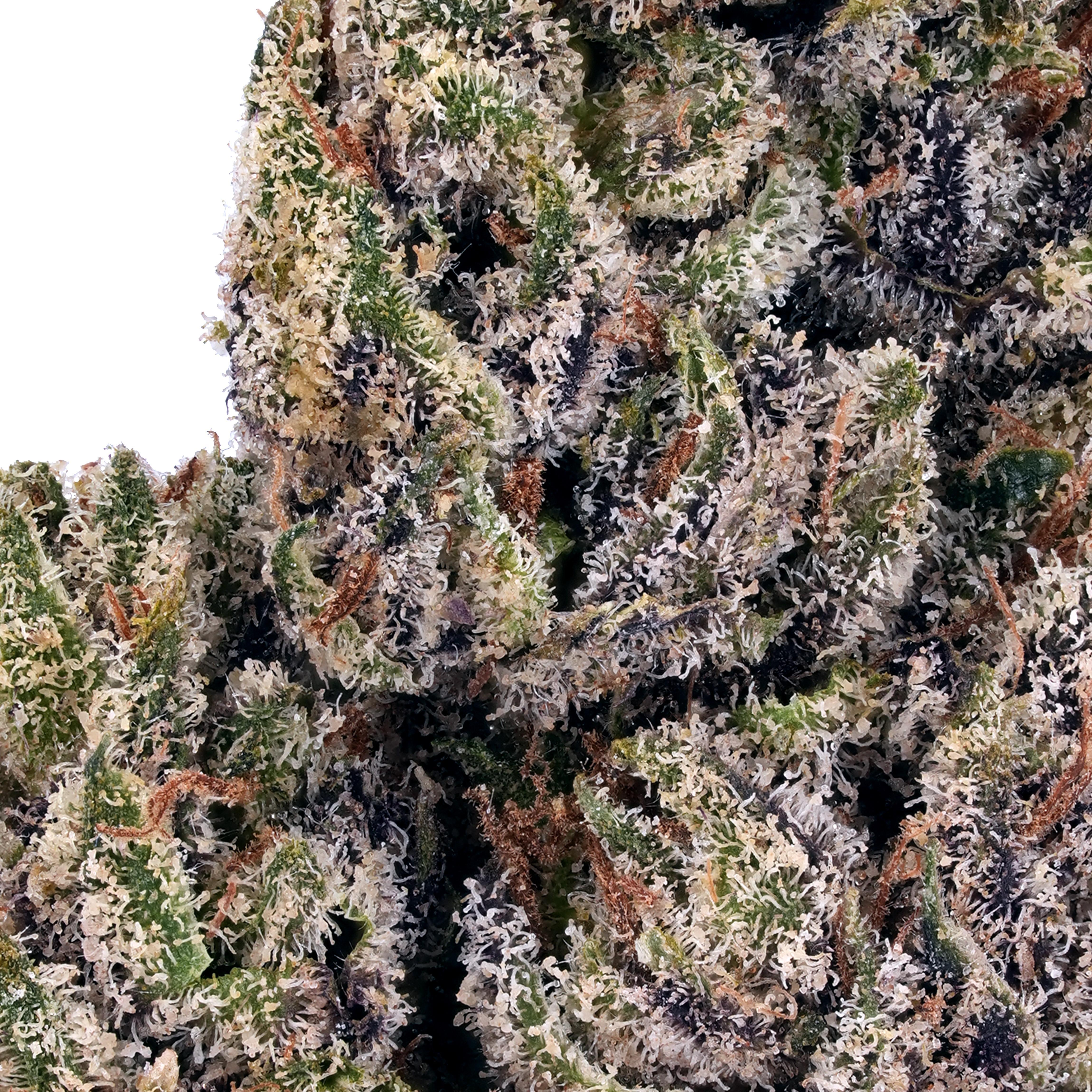 Cherry Pie THCa Flower - Arete | Premium Cannabis Products