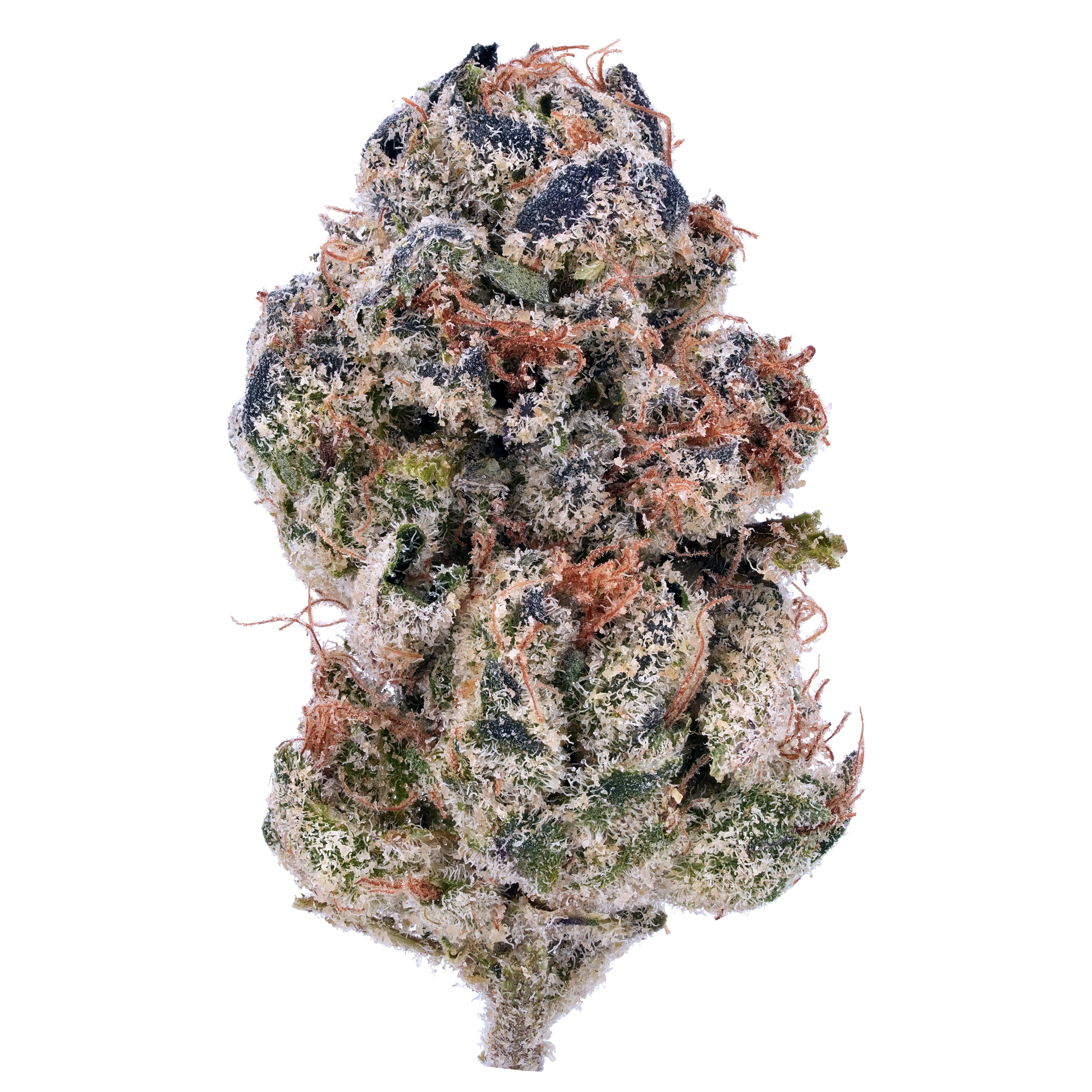 Mint Chocolate Chip THCa Flower - Arete | Premium Cannabis Products