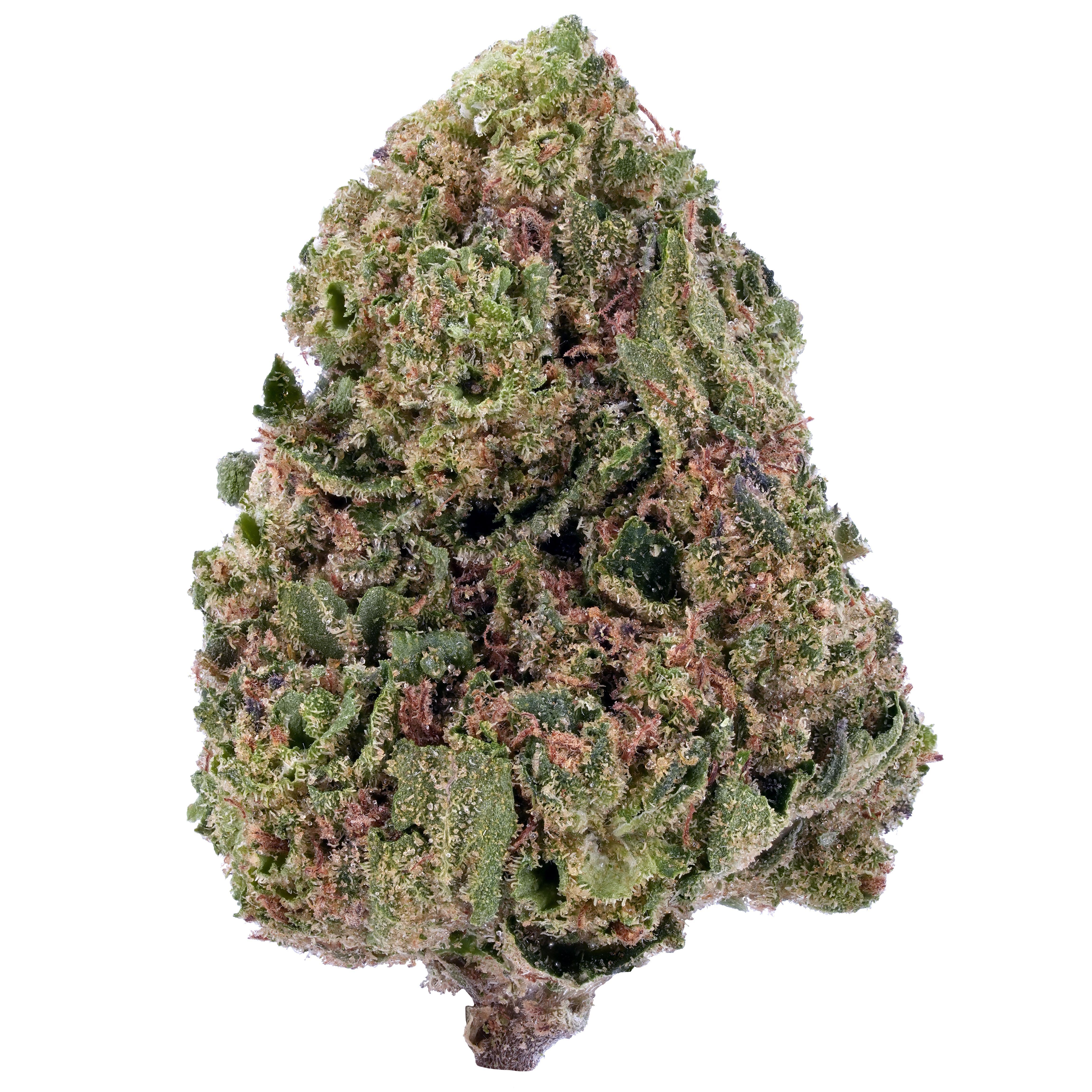 Tangie THCa Flower - Arete | Premium Cannabis Products