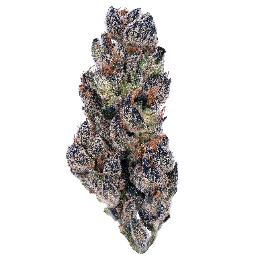 Cookies and Cream THCa Flower
