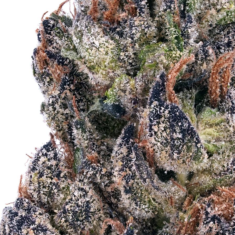 Cookies and Cream THCa Flower, photo 2 of 2