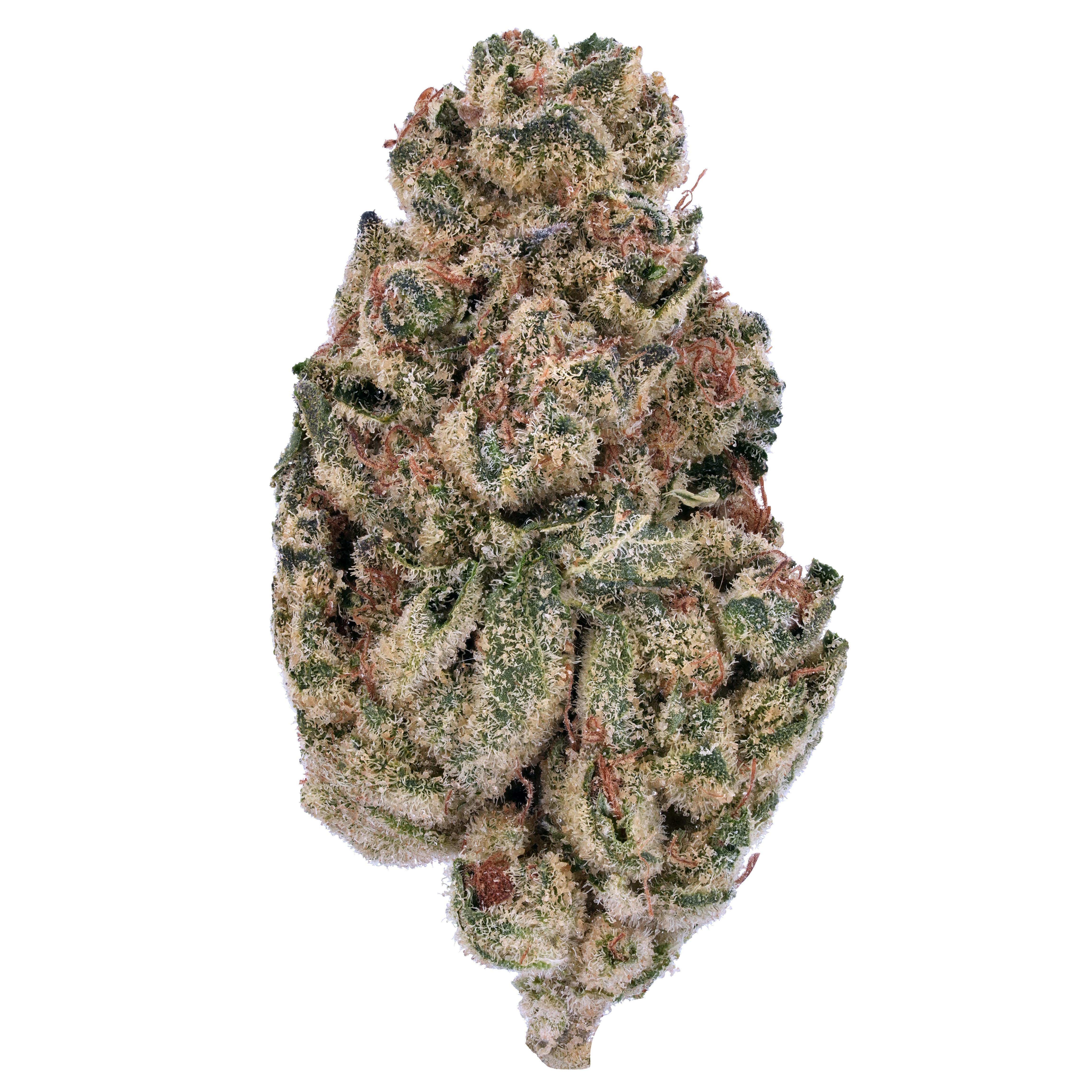 The product image for Creamsicle THCa Flower