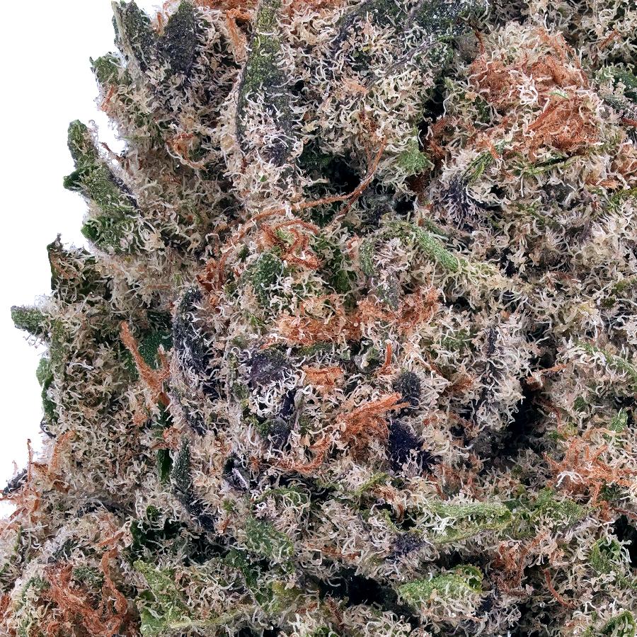 A gallery image for Death Star THCa Flower