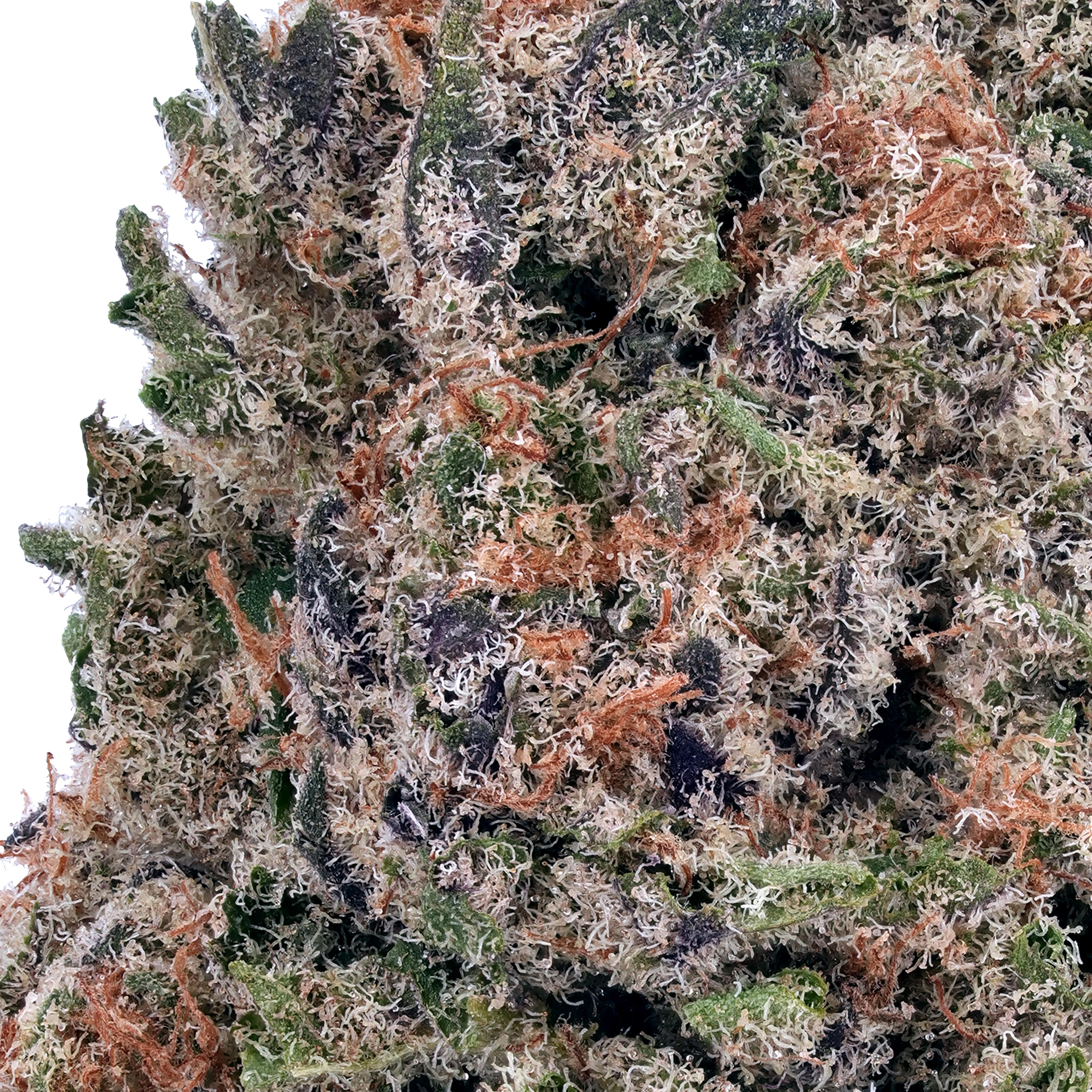 A gallery image for Death Star THCa Flower