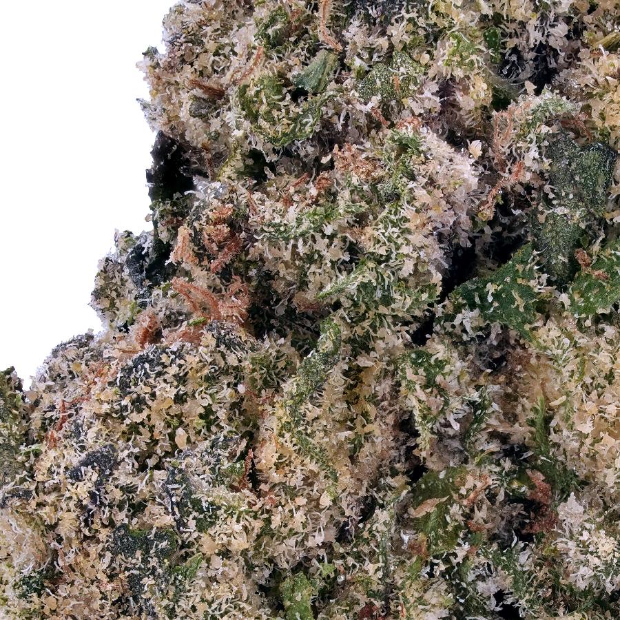 A gallery image for Lemon Cherry Gelato THCa Flower