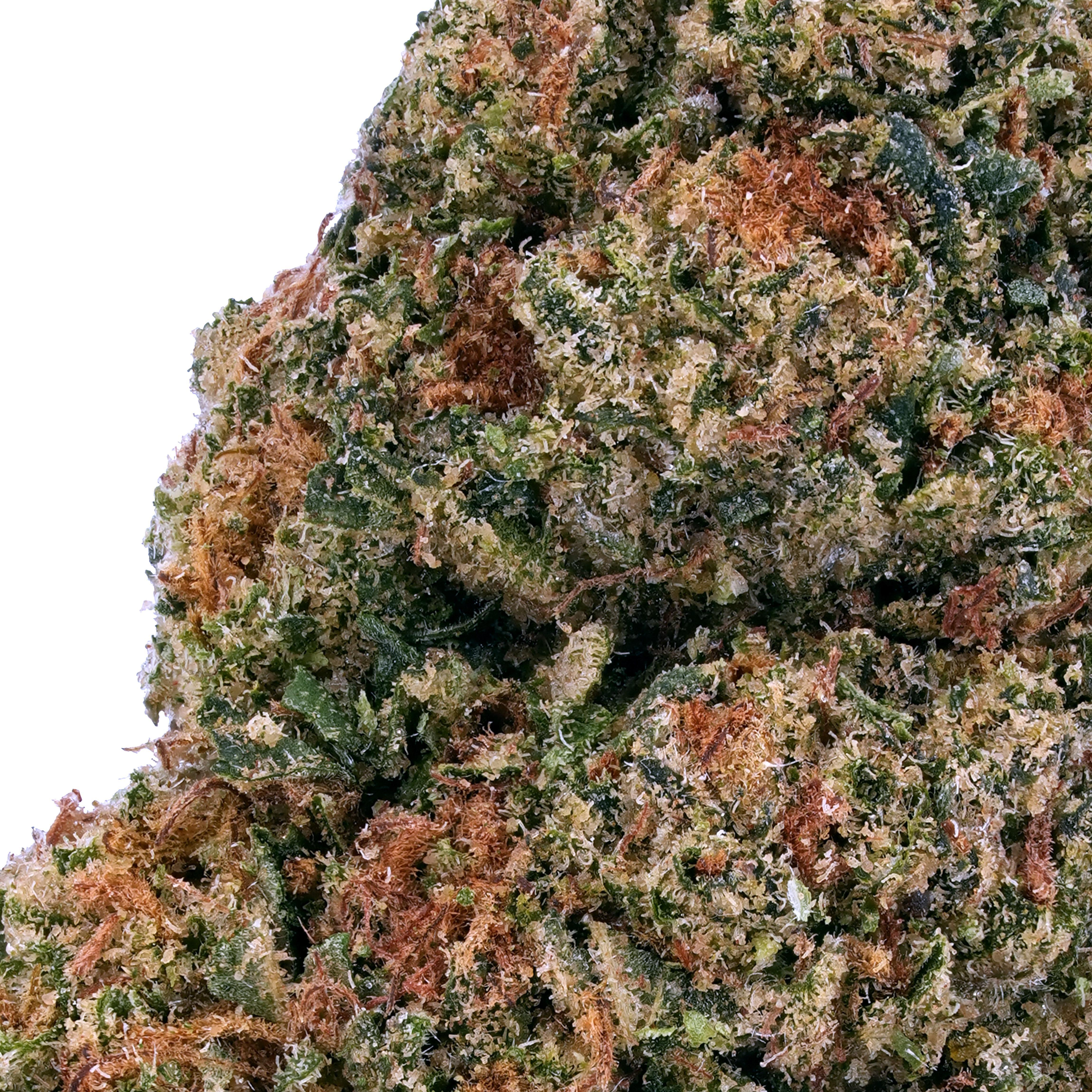 A gallery image for Gelato Cookies THCa Flower