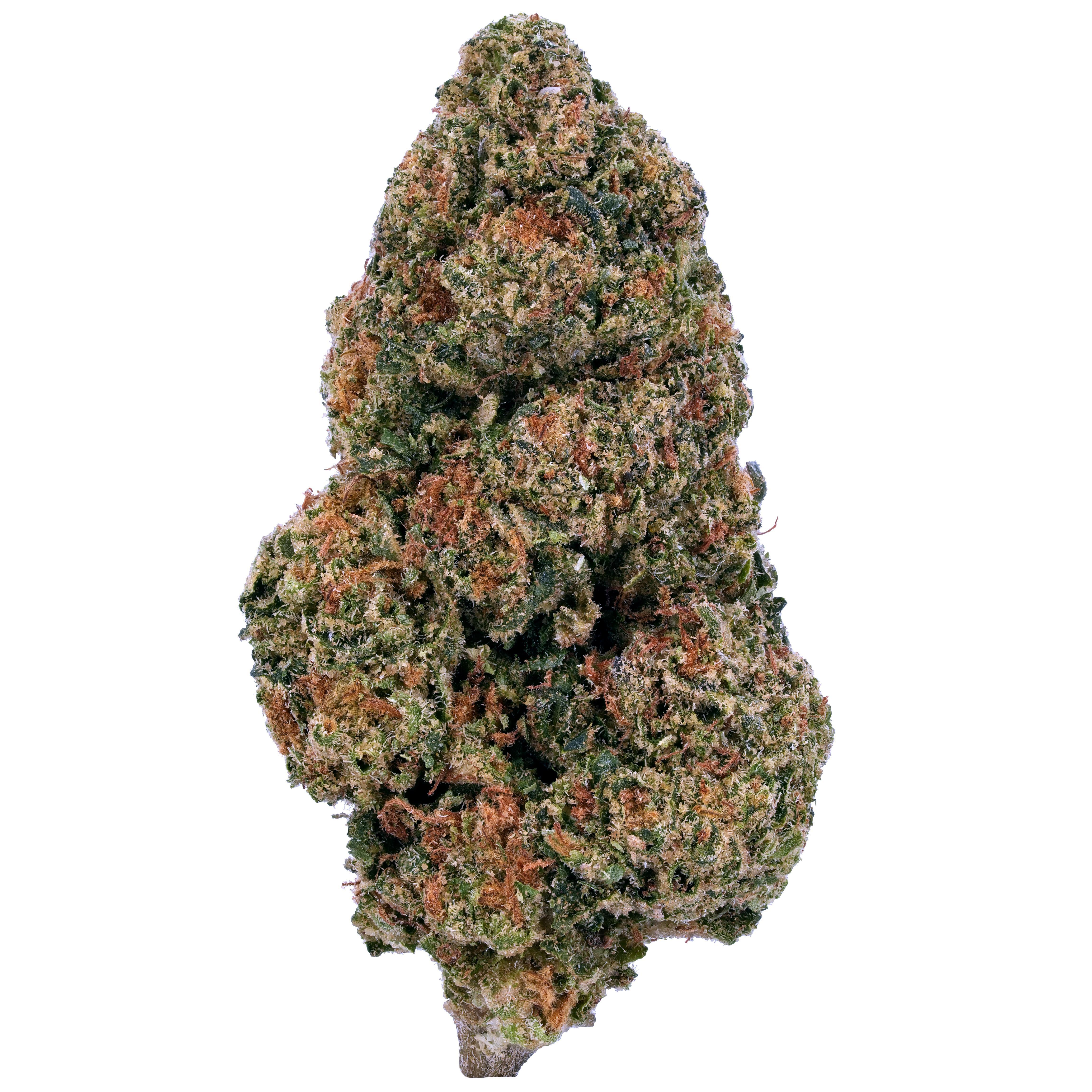The product image for Gelato Cookies THCa Flower