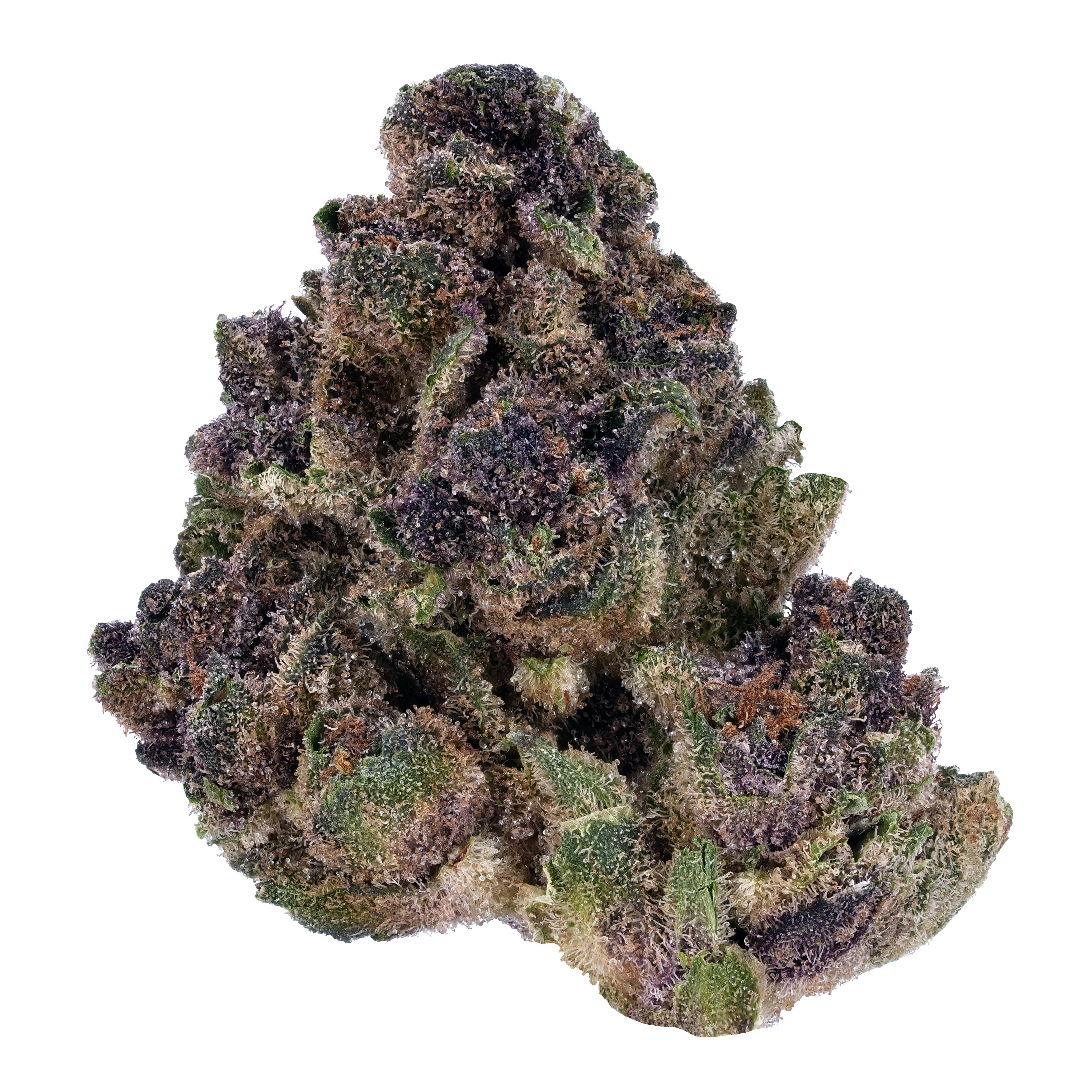 The product image for Butter Cookies THCa Flower