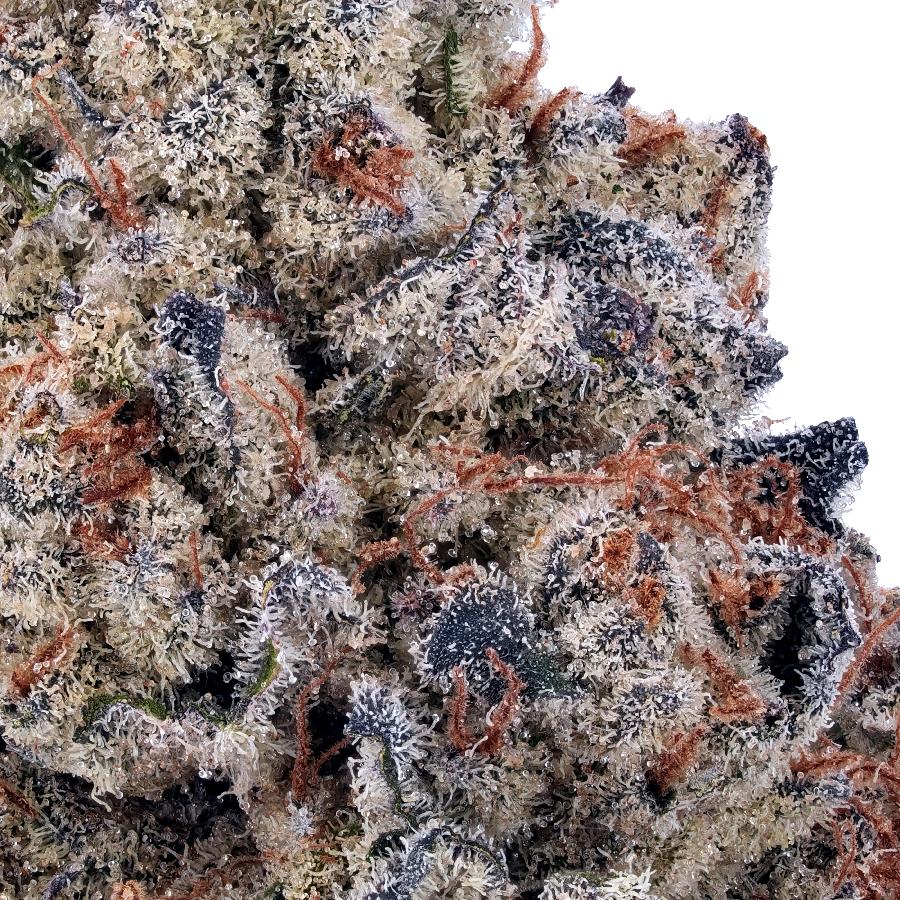 A gallery image for Cherry Chocolate Widow THCa Flower