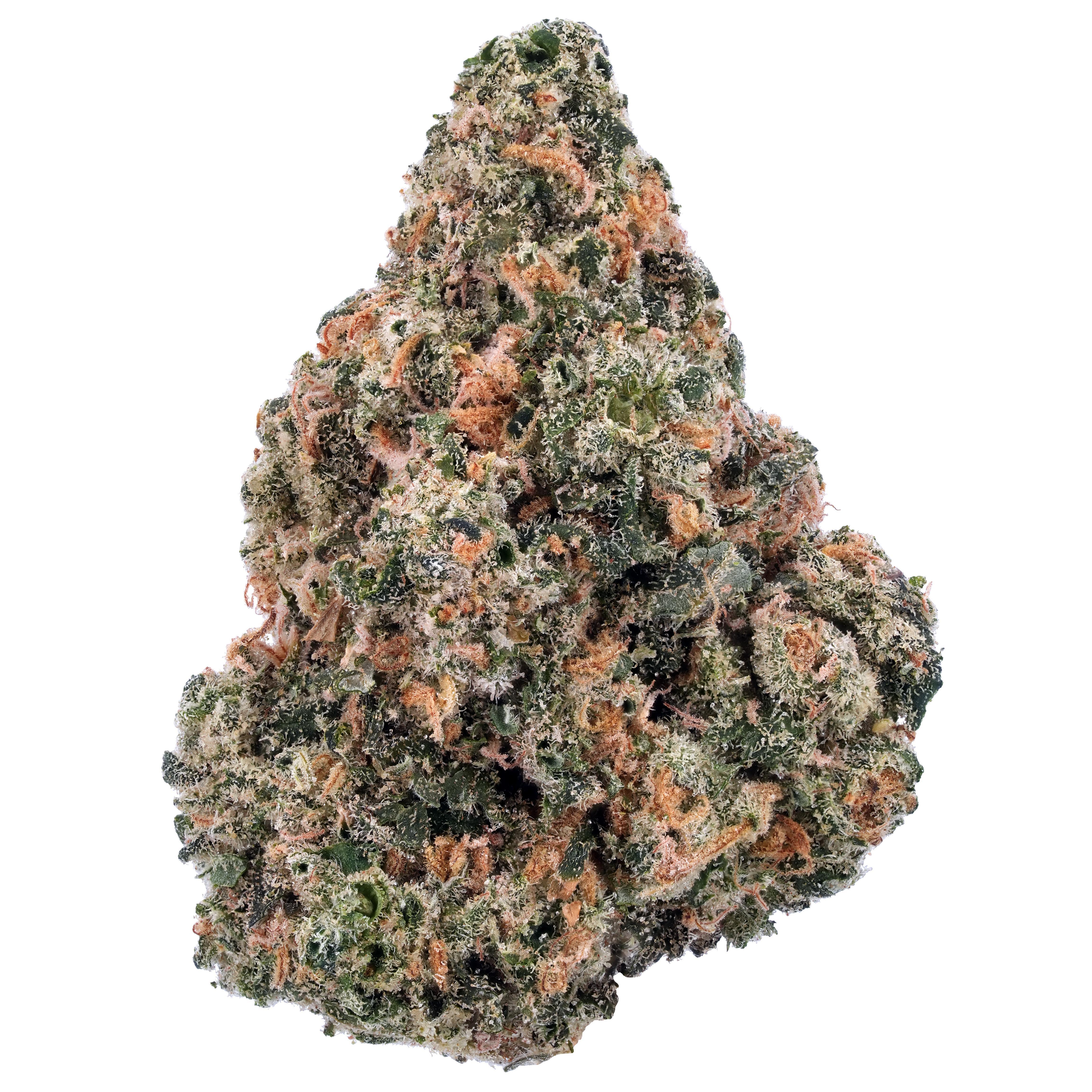 The product image for Jack Herer THCa Flower