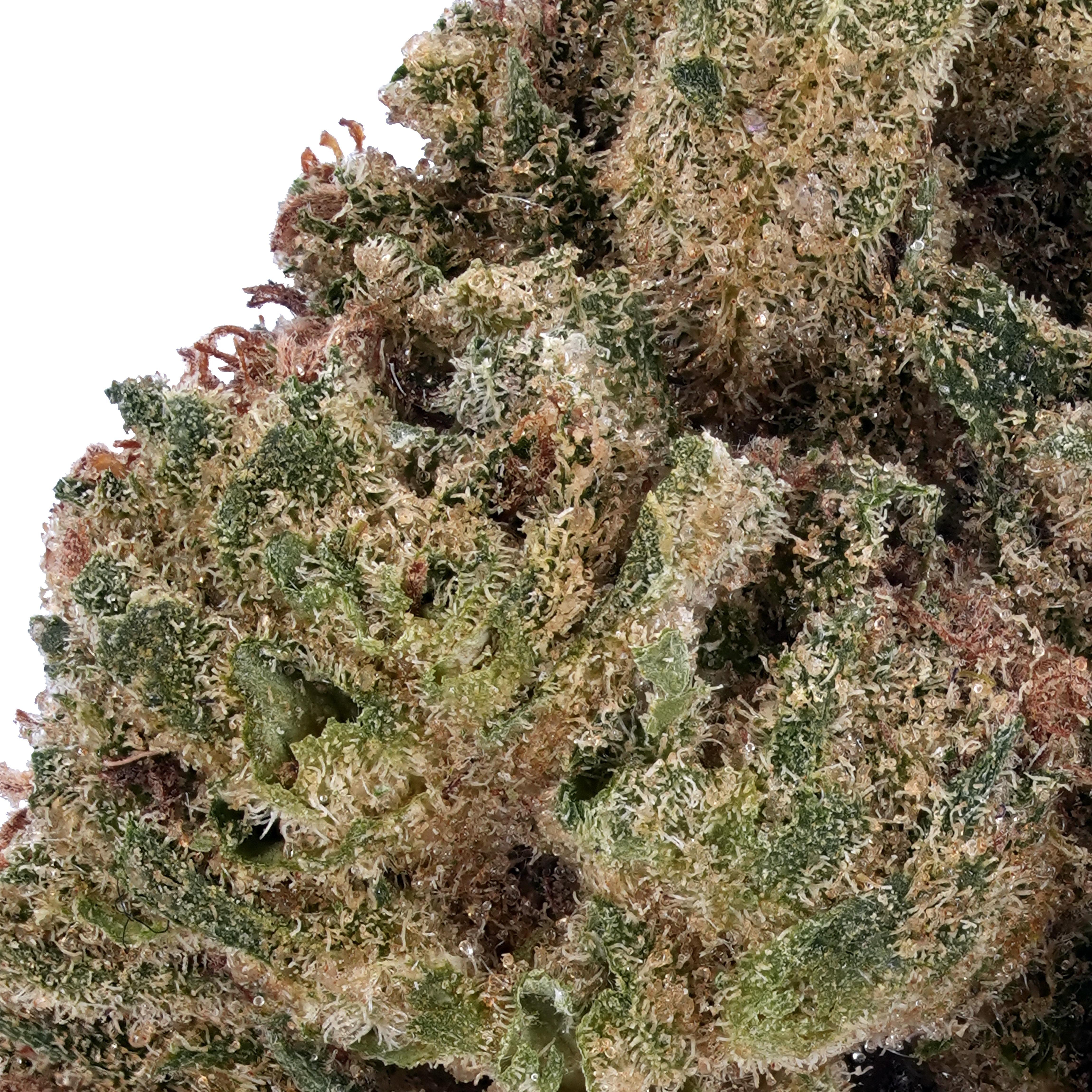 A gallery image for Animal Cookies THCa Flower