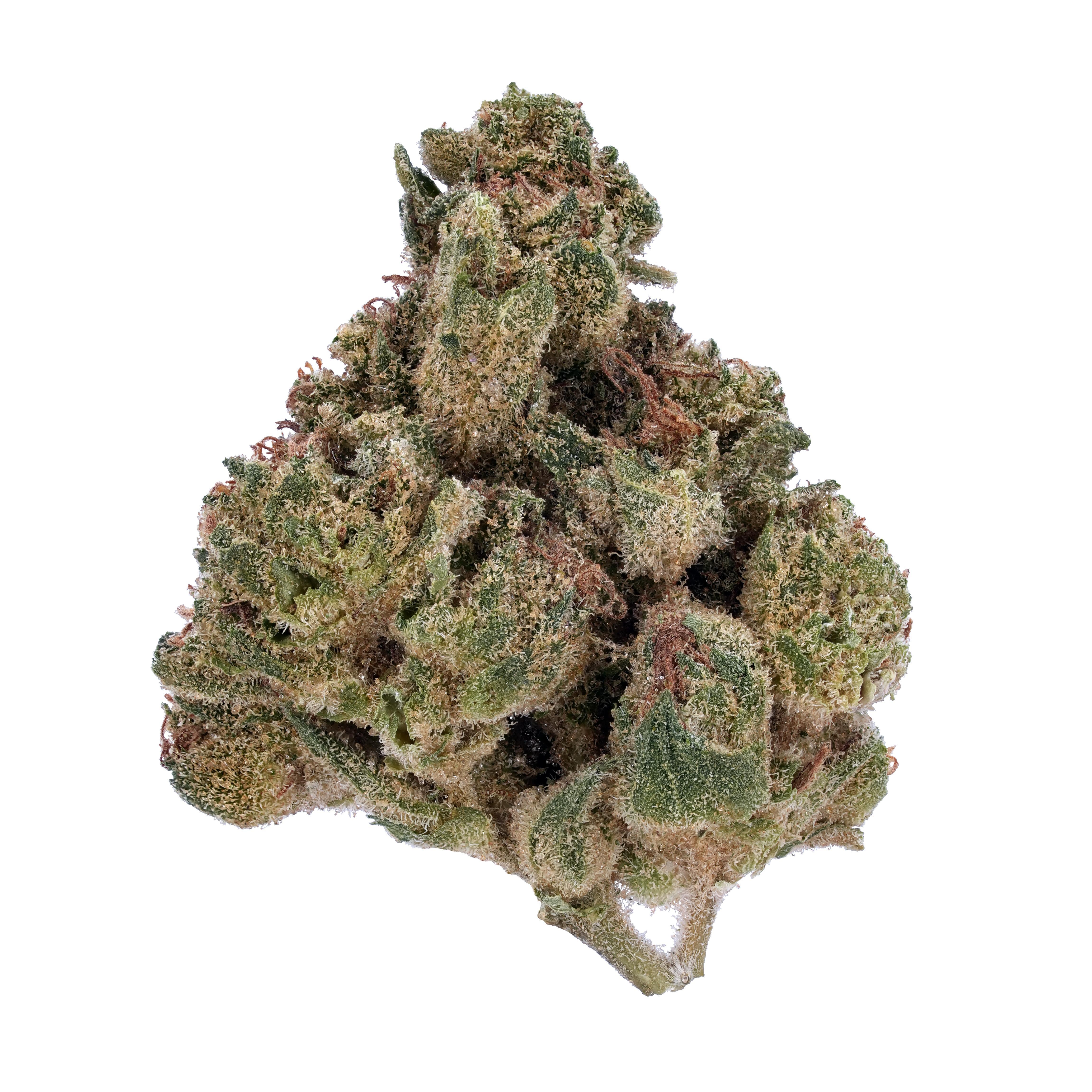 The product image for Animal Cookies THCa Flower