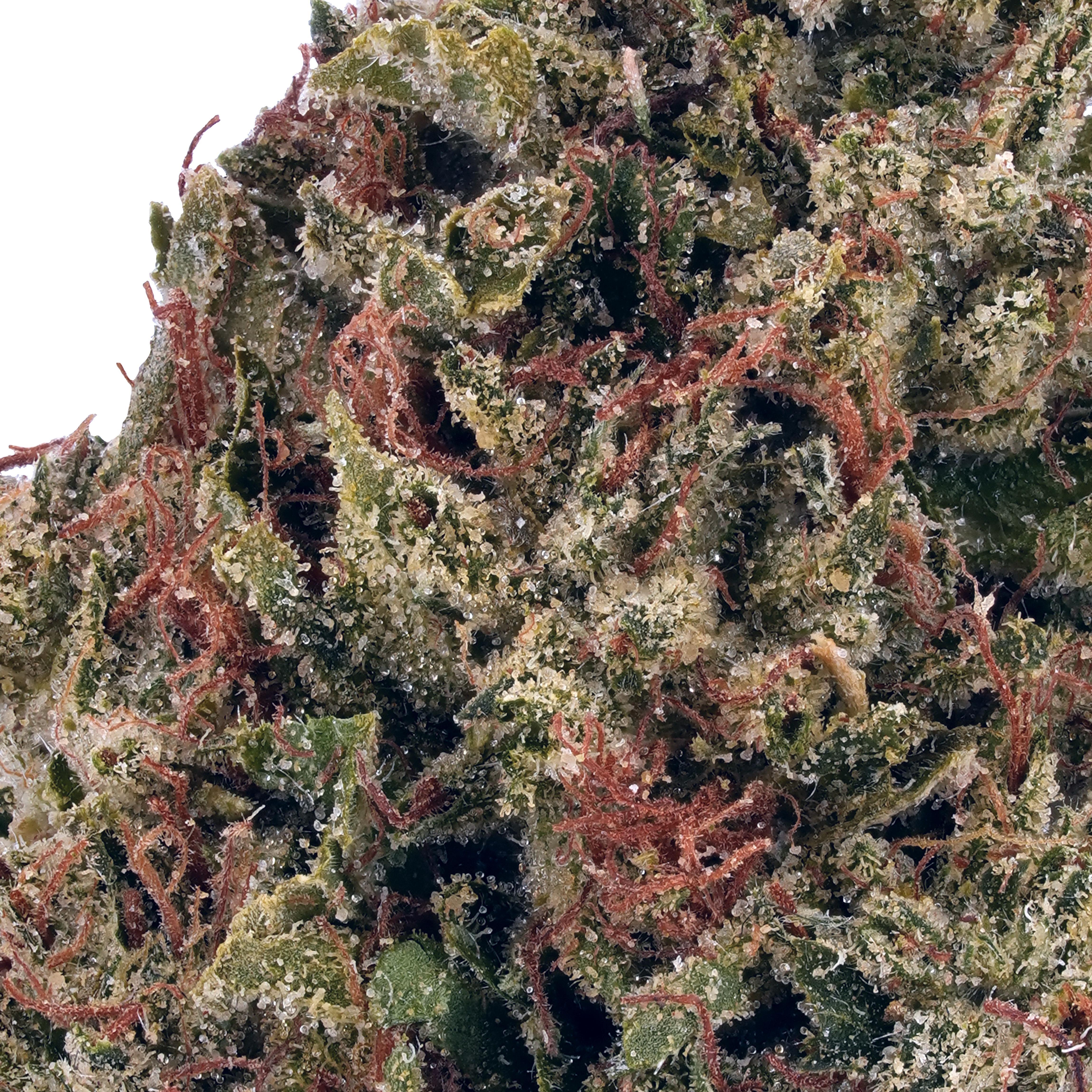 A gallery image for Kush Mint Cookies THCa Flower
