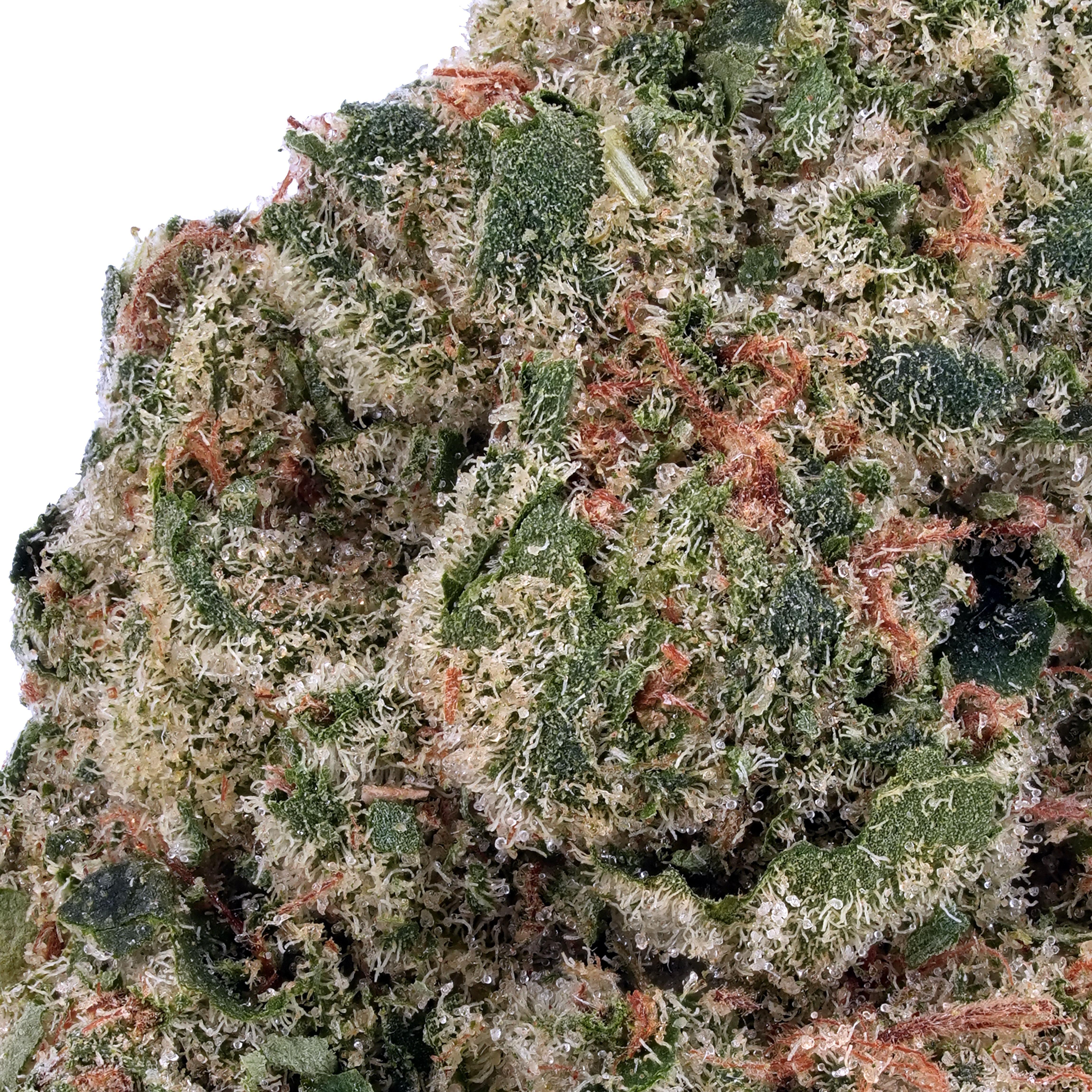 A gallery image for Afghan THCa Flower
