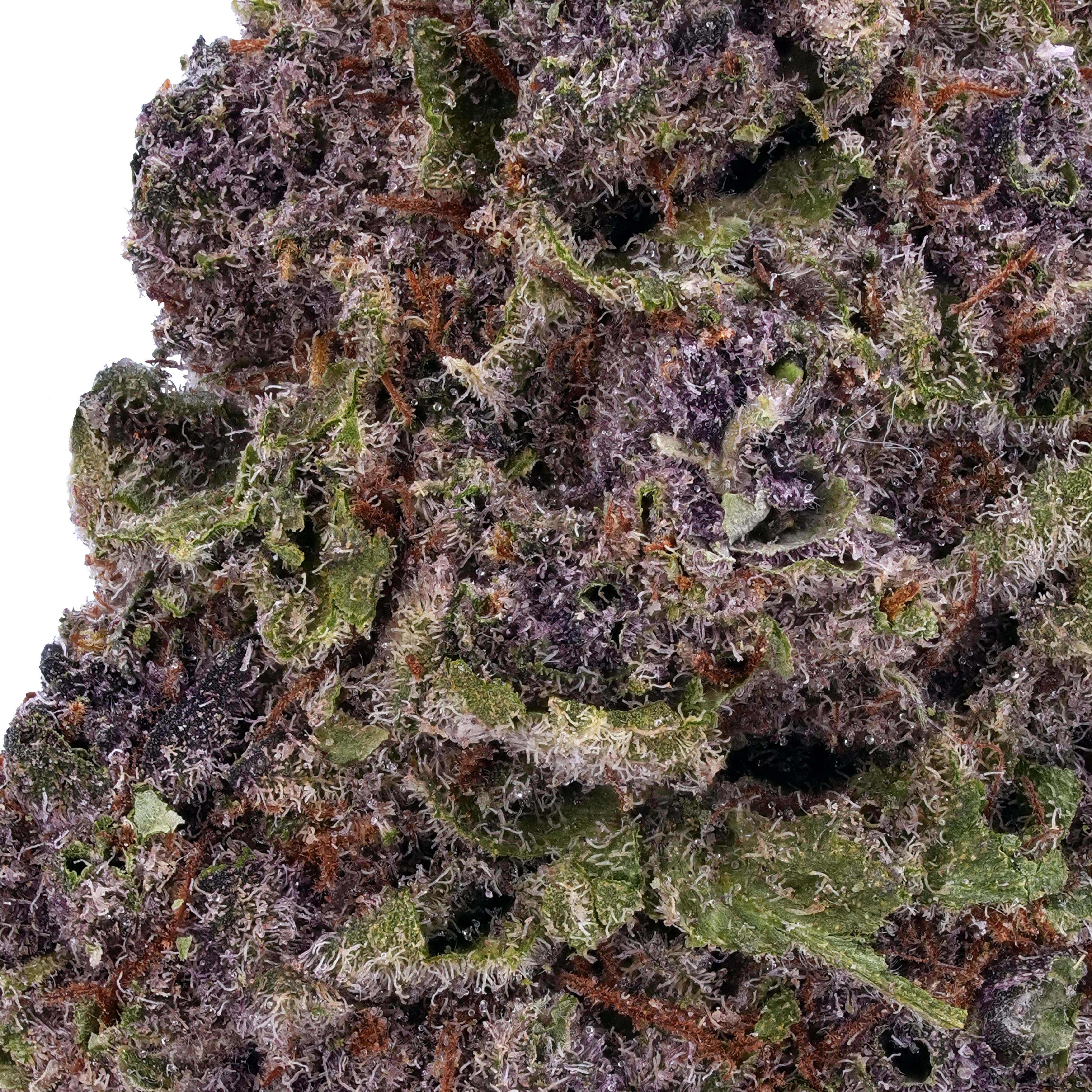 A gallery image for Grand Daddy Purple THCa Flower
