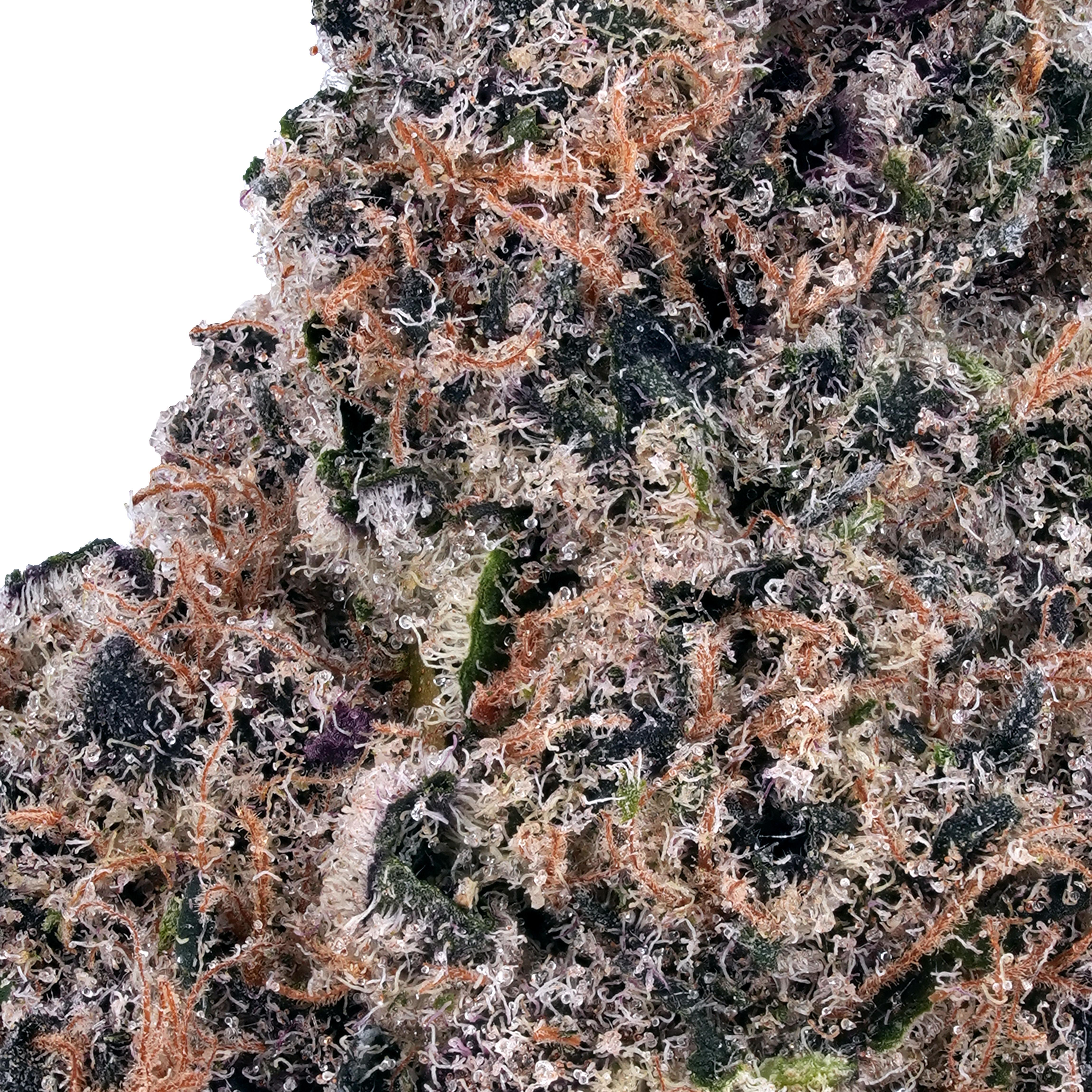 A gallery image for Trop Cherry THCa Flower