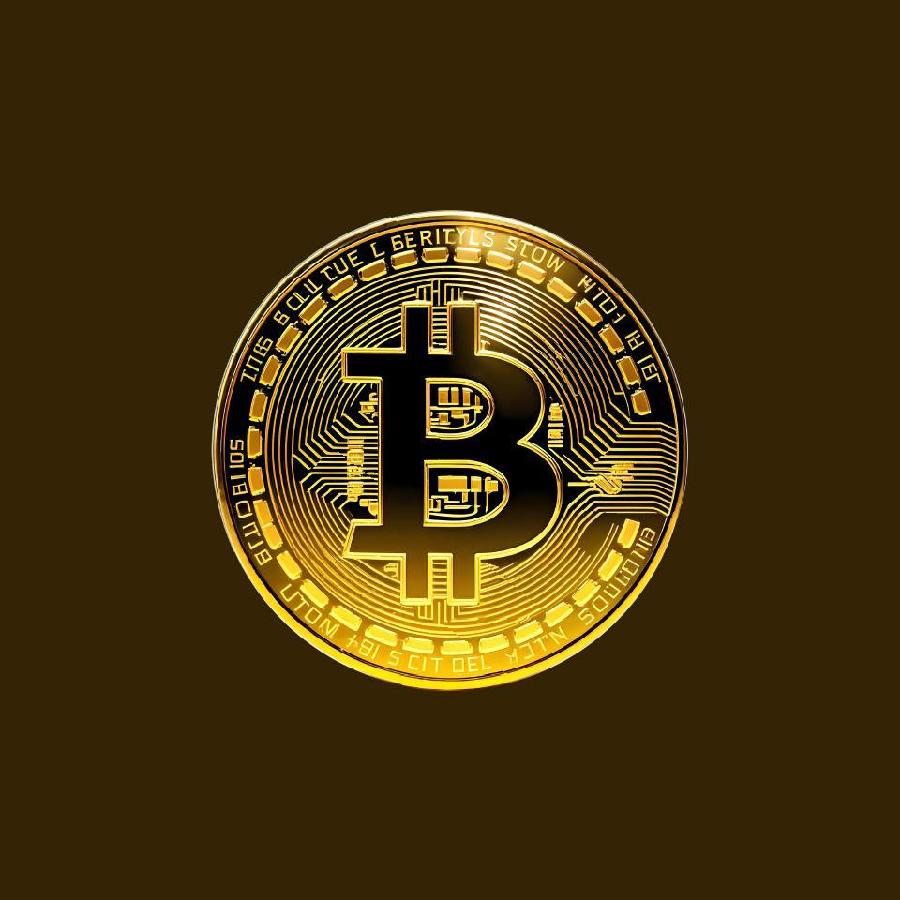 Pay with Bitcoin Image