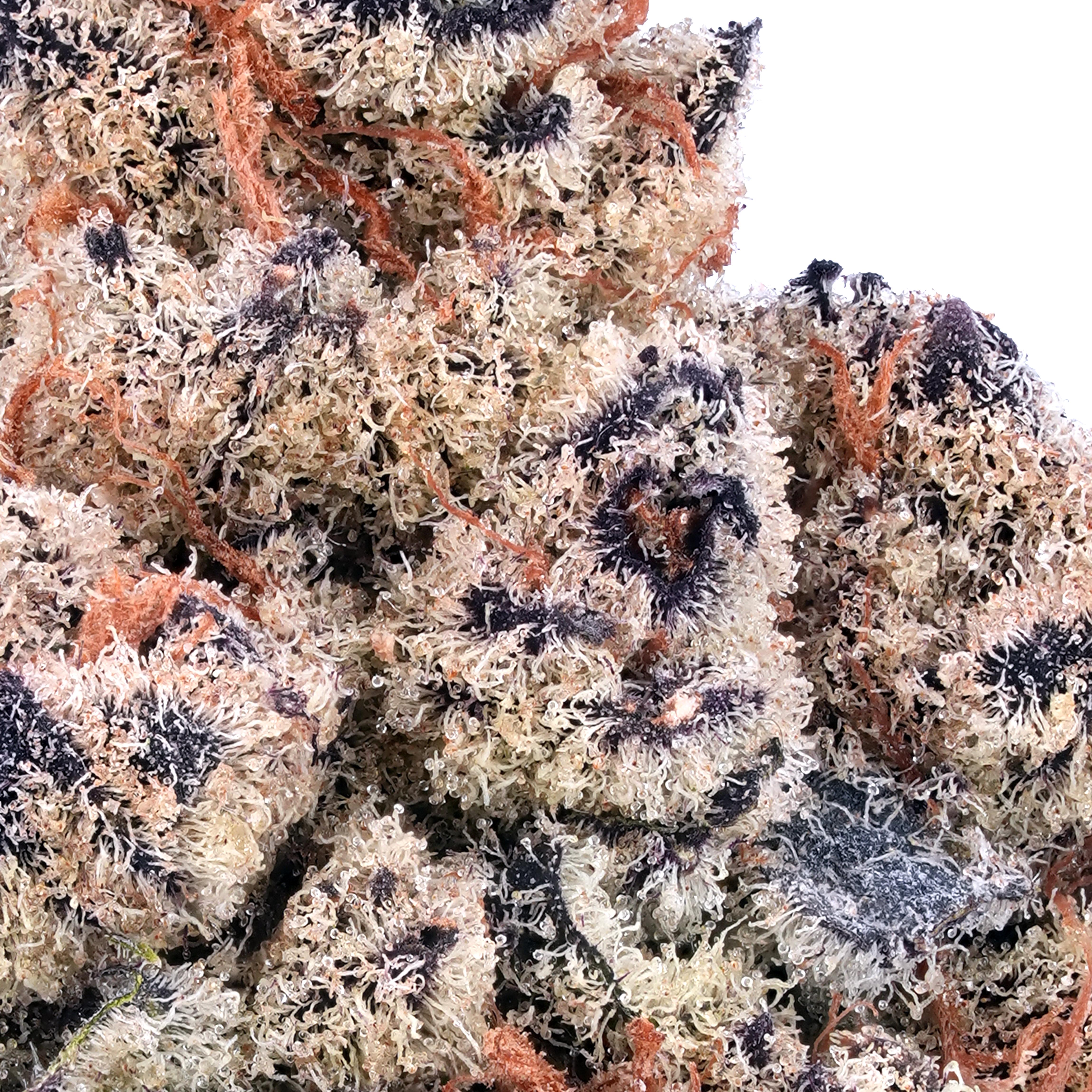 A gallery image for Apples and Bananas THCa Flower
