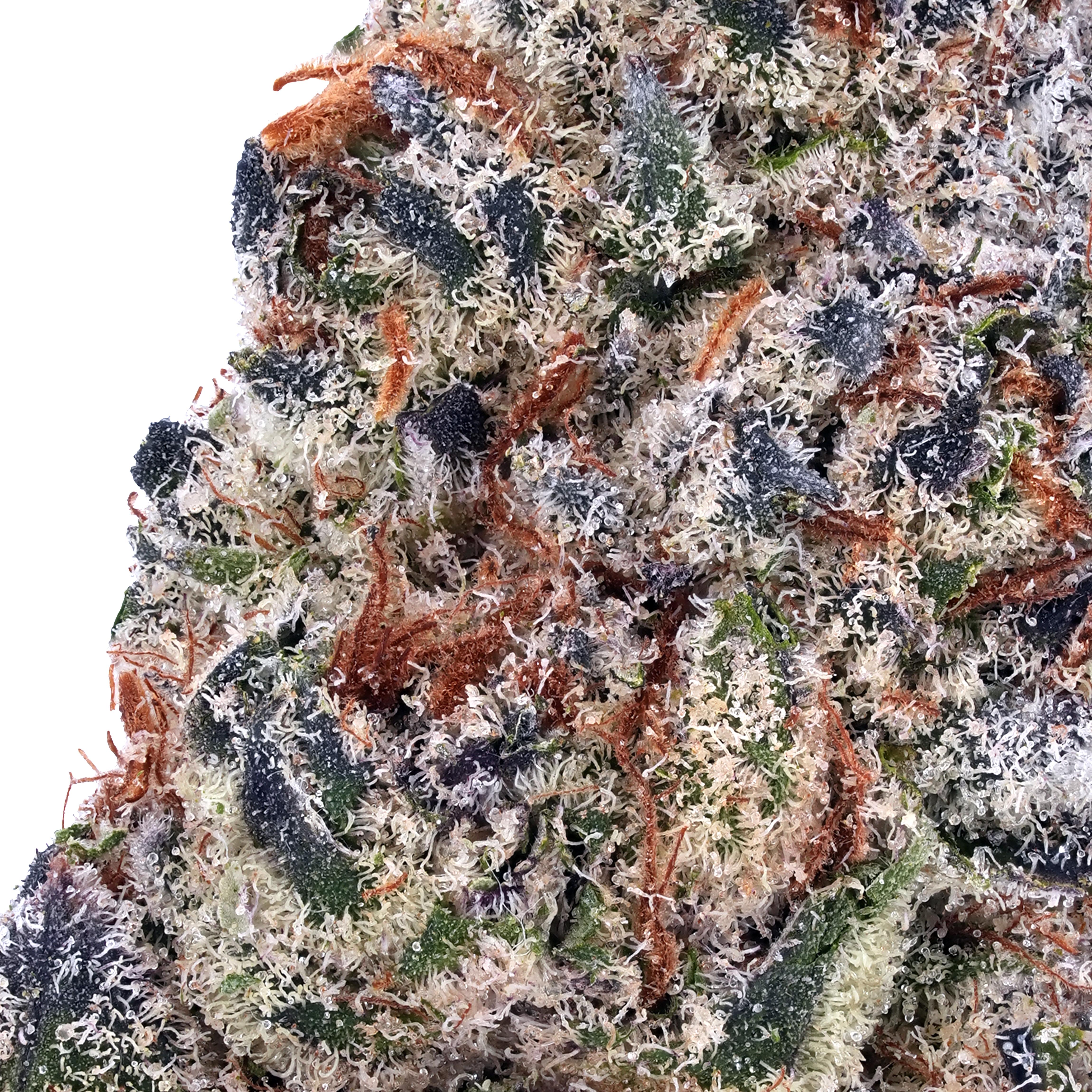 Orange Push Pop THCa Flower - Arete | Premium Cannabis Products