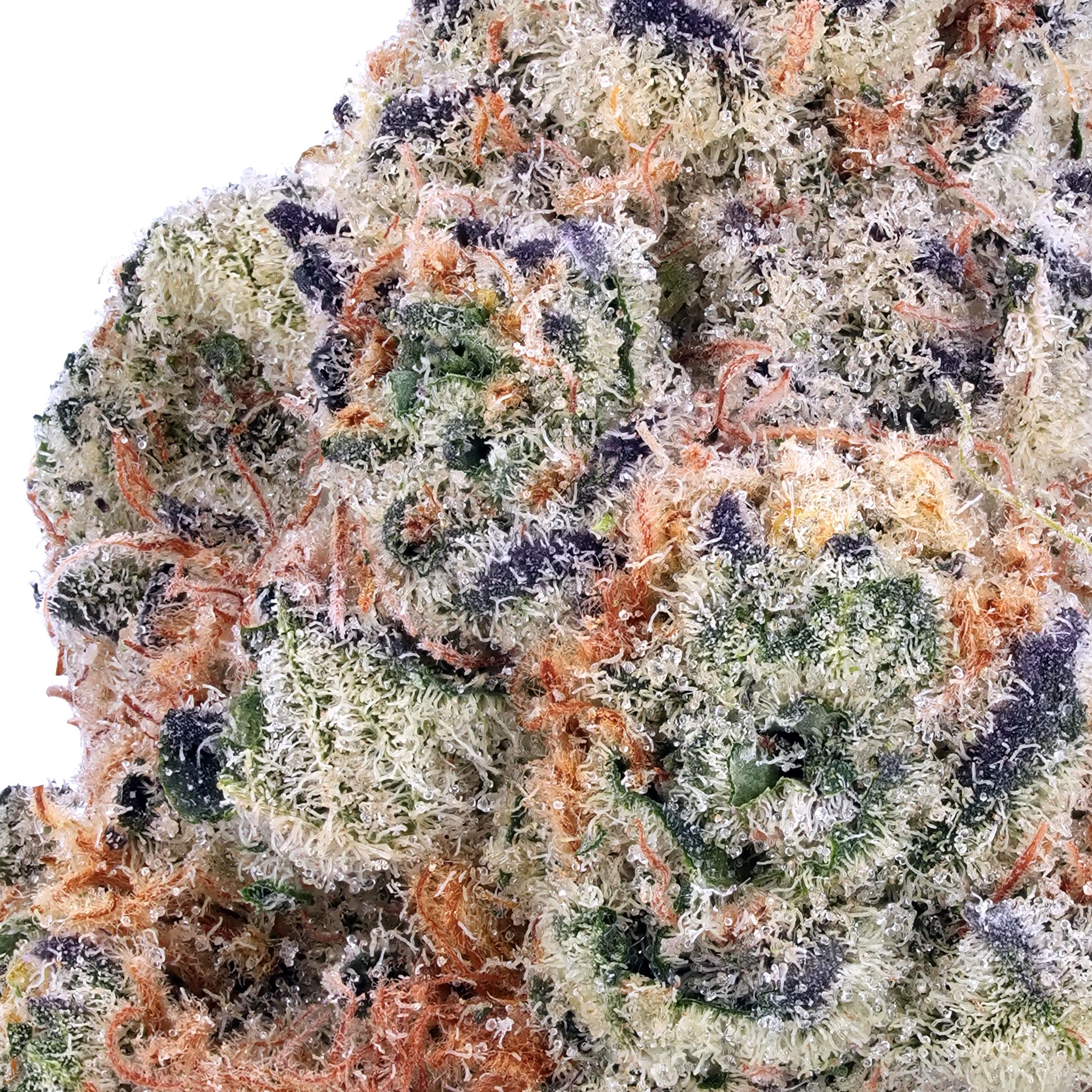 A gallery image for Alaskan Thunder F*ck THCa Flower