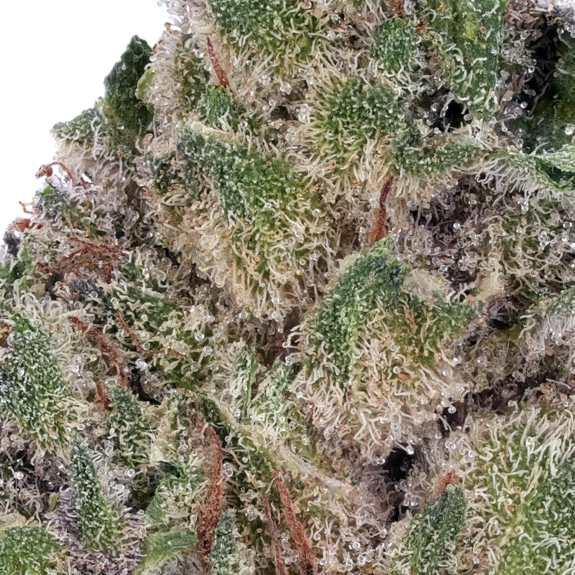 A gallery image for Blueberry Pancakes THCa Flower