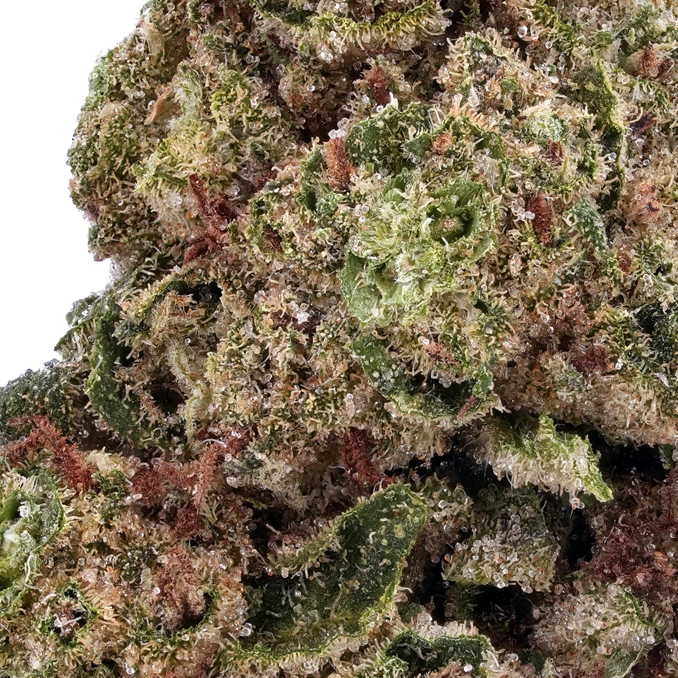 A gallery image for Cheetah Piss THCa Flower