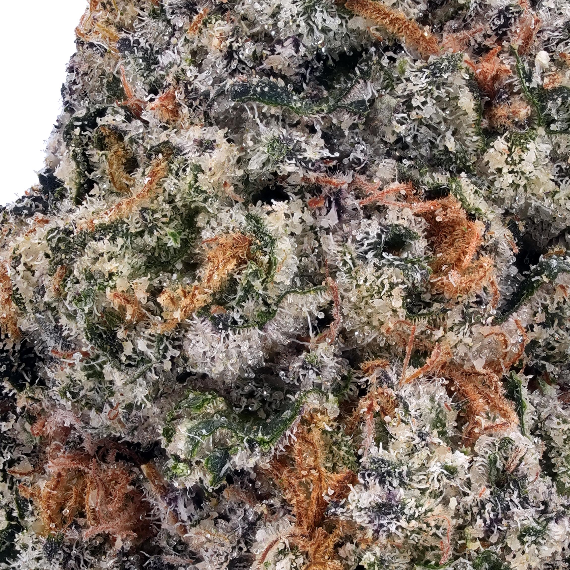 A gallery image for Gorilla Glue #4 THCa Flower
