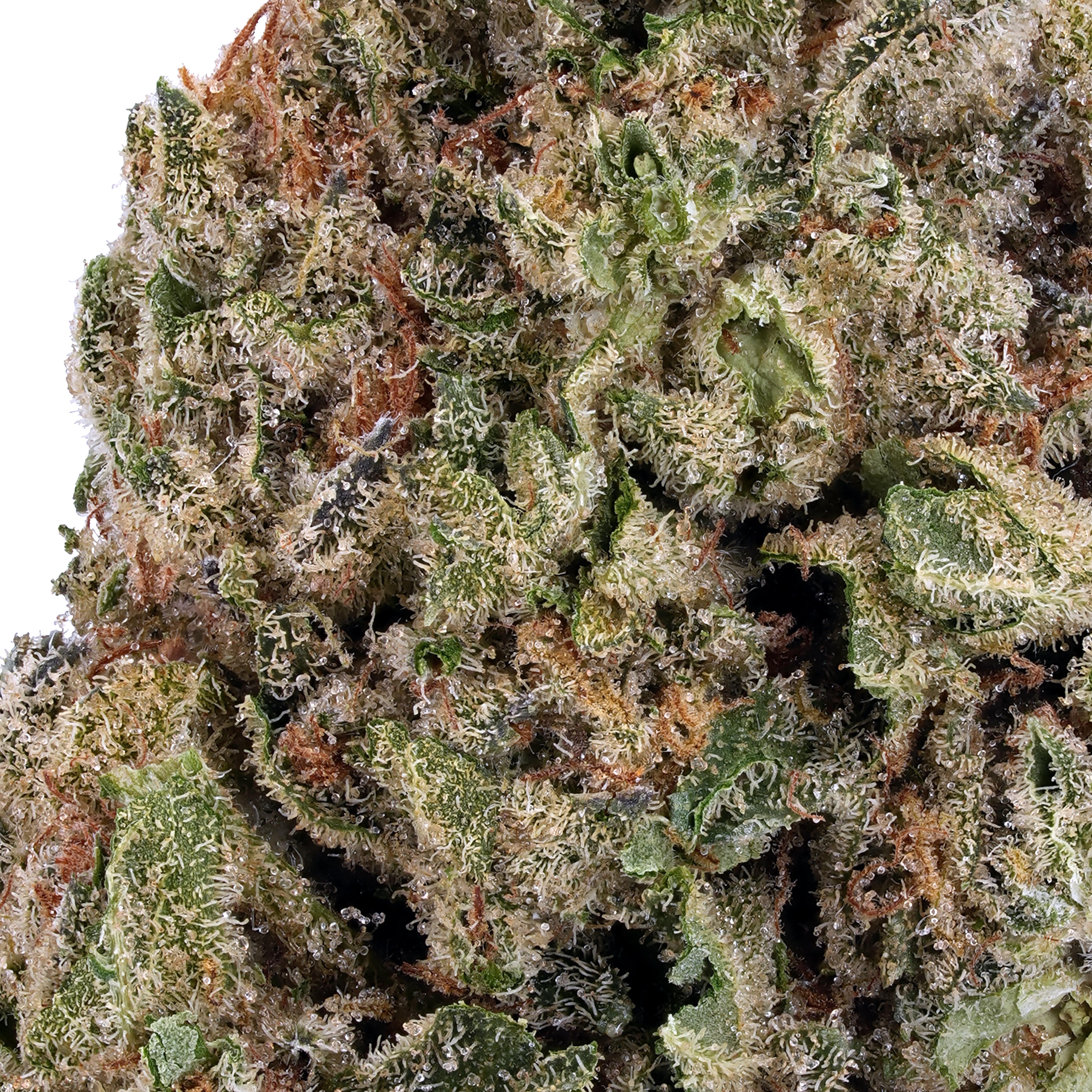 A gallery image for Ice Cream Cake THCa Flower