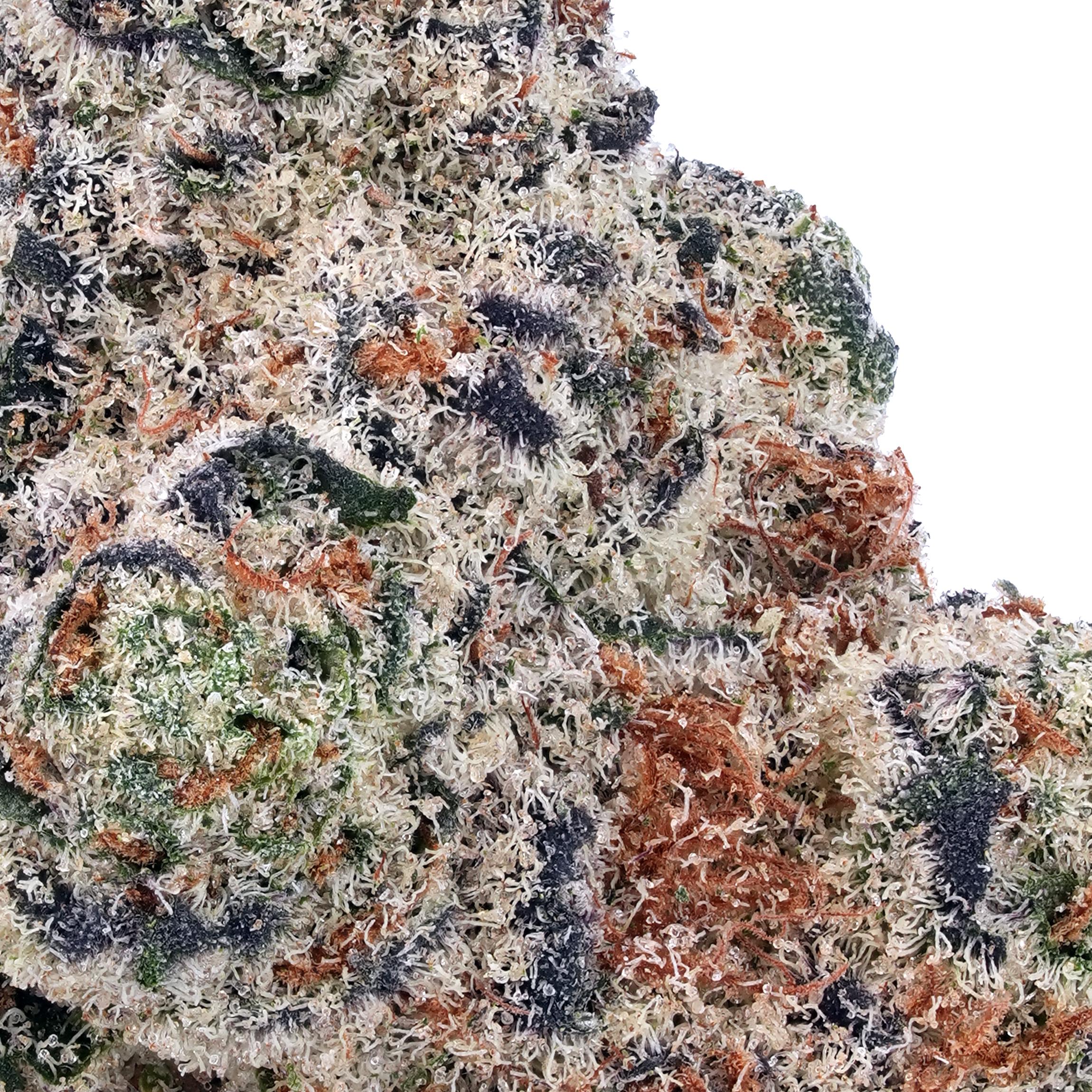 A gallery image for King Louis XIII THCa Flower