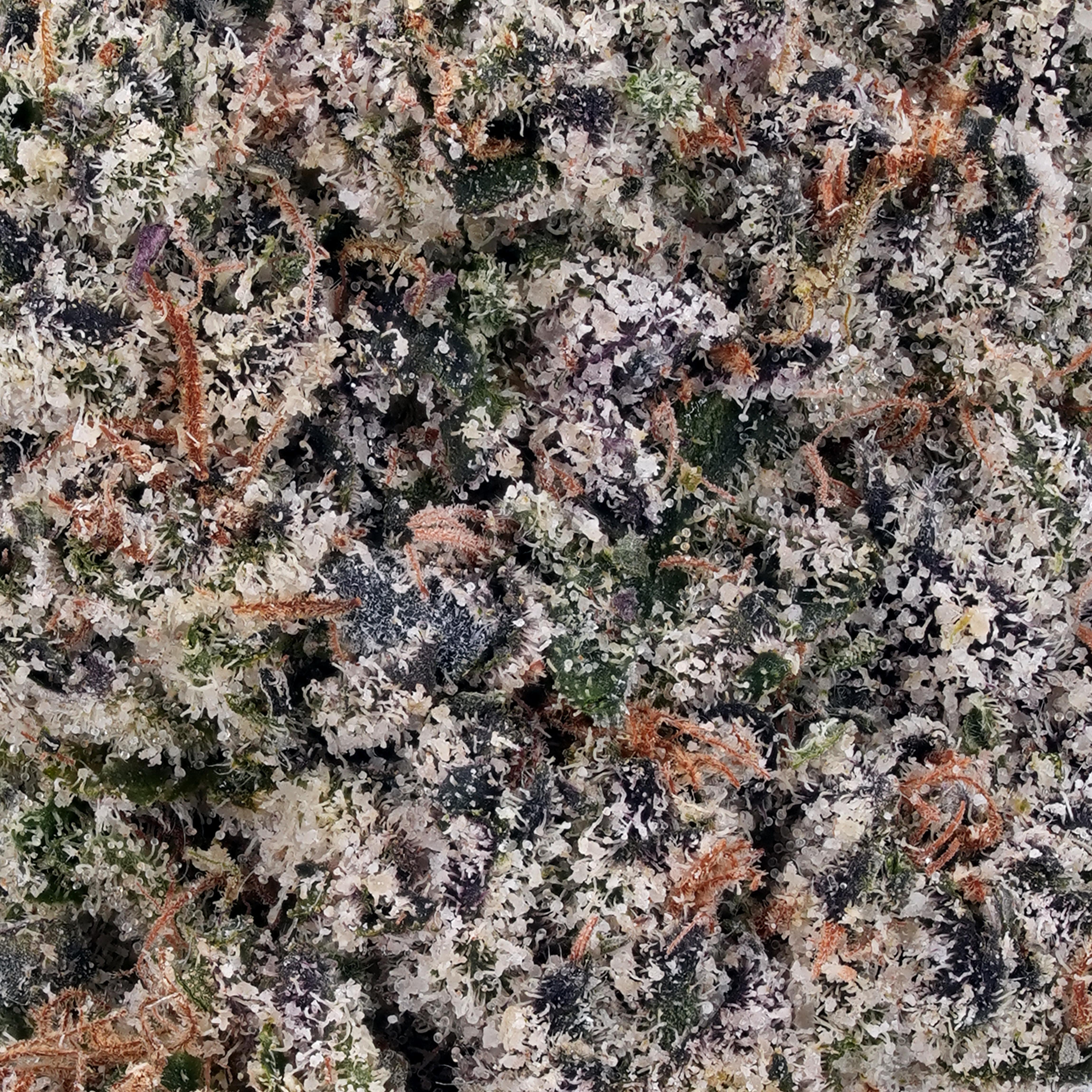 A gallery image for Kush Cake THCa Flower